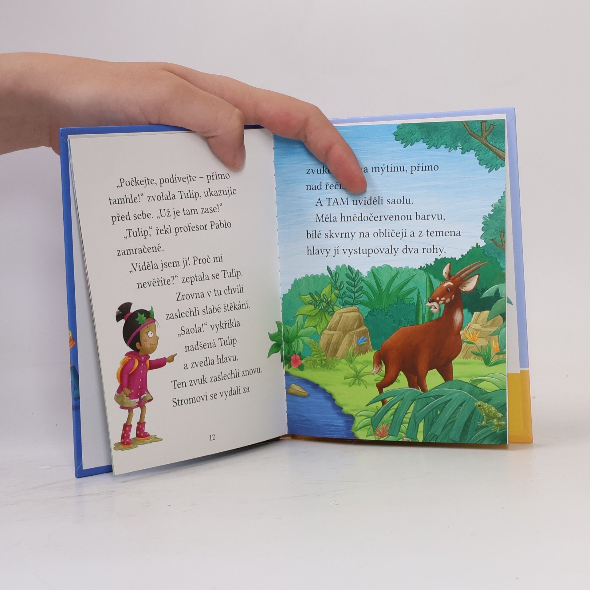 Cressida Cowell Stromovic dvojčata a jejich dobrodružství v divočině. Dvojčata hledají saolu