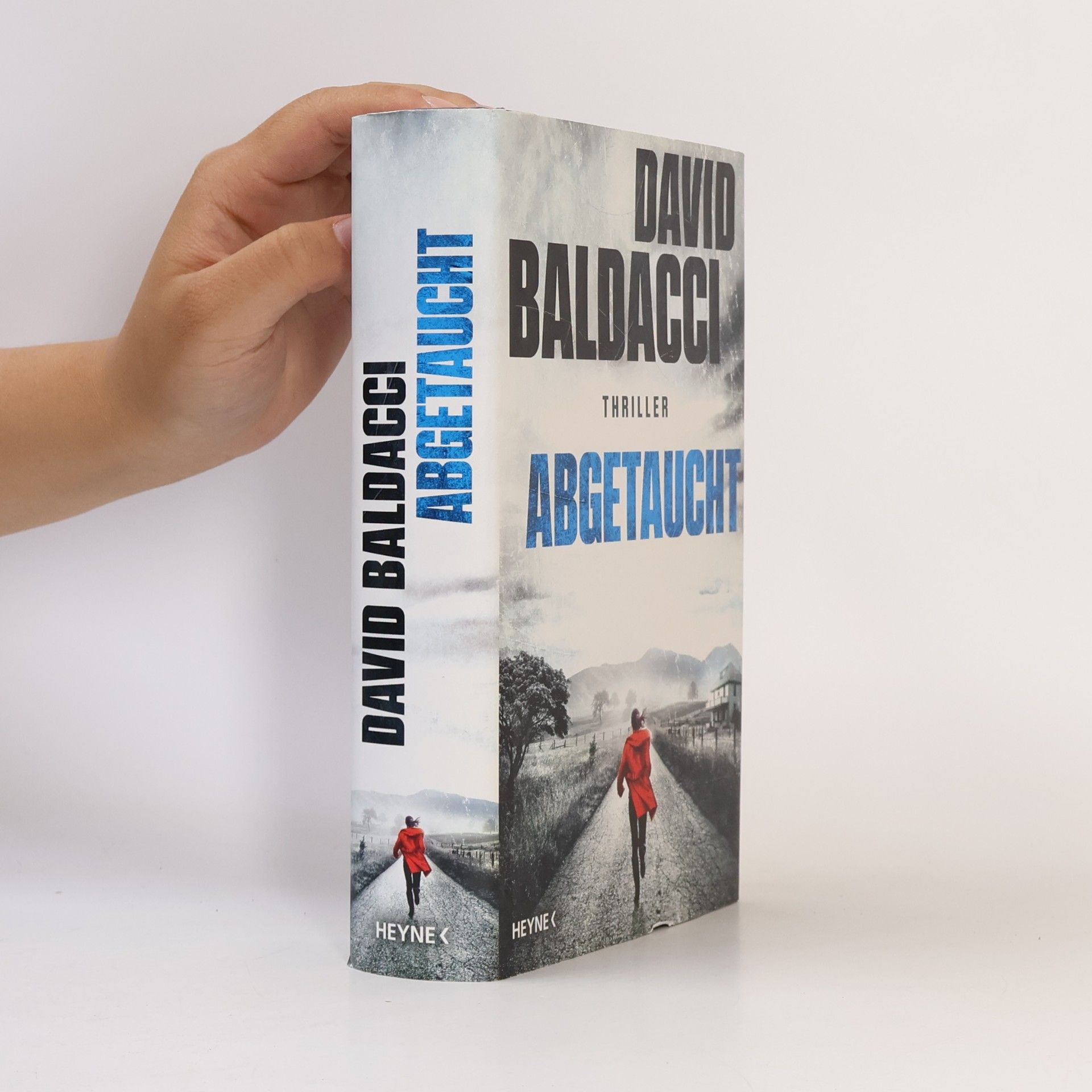 David Baldacci Abgetaucht