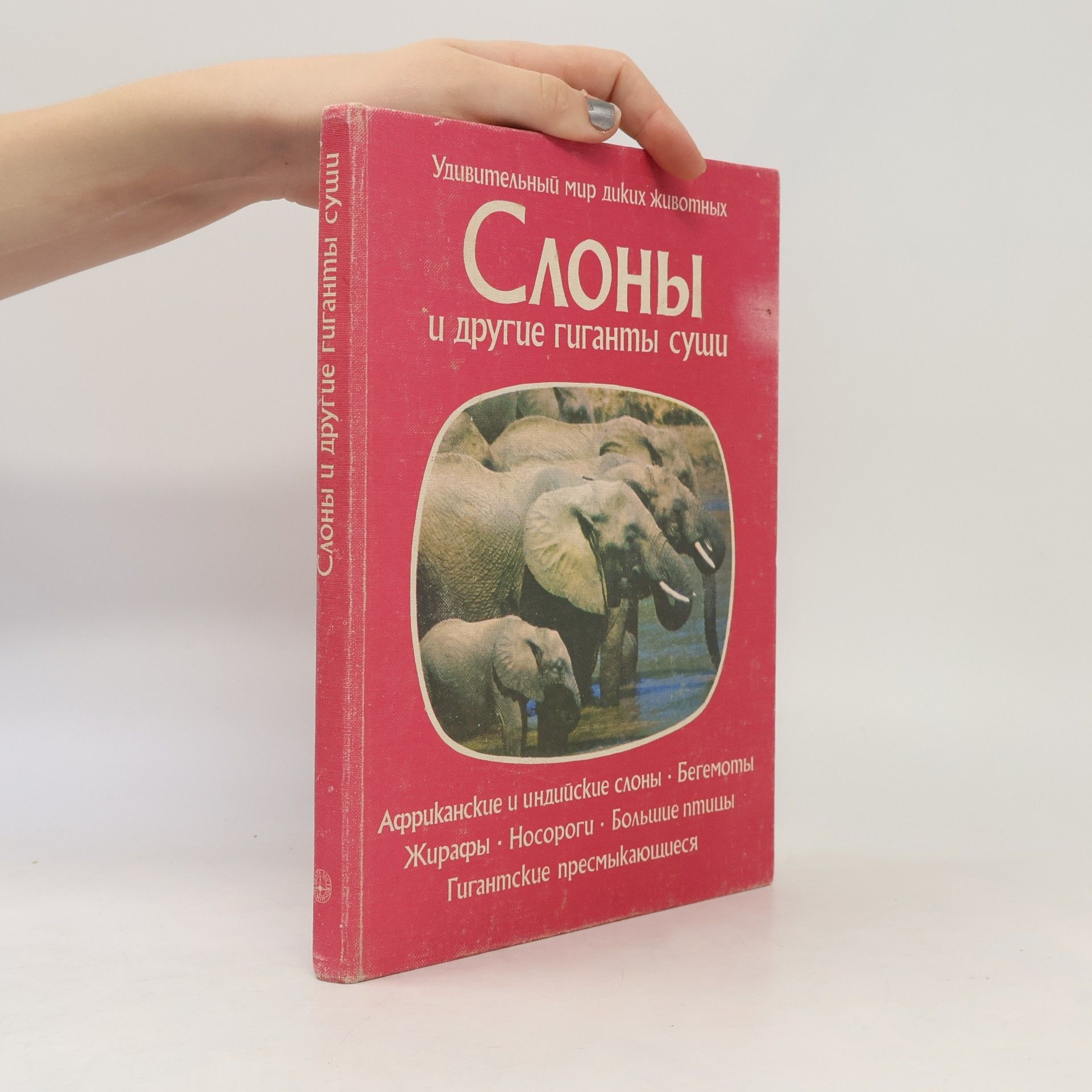 Autorenkollektiv Слоны и другие гиганты суши