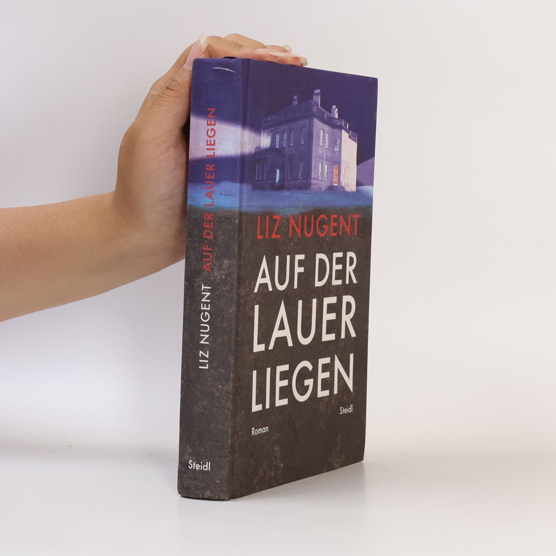 Liz Nugent Auf der Lauer liegen