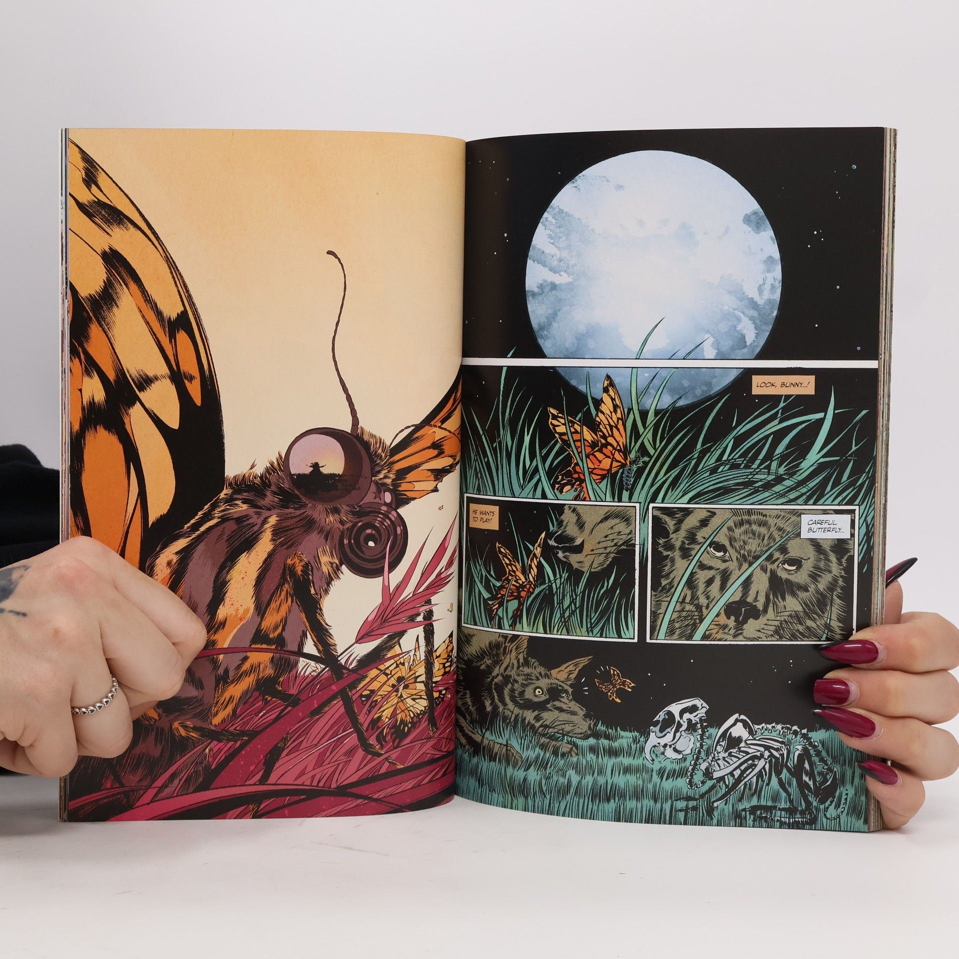 Autorenkollektiv Pretty Deadly. Volume 1