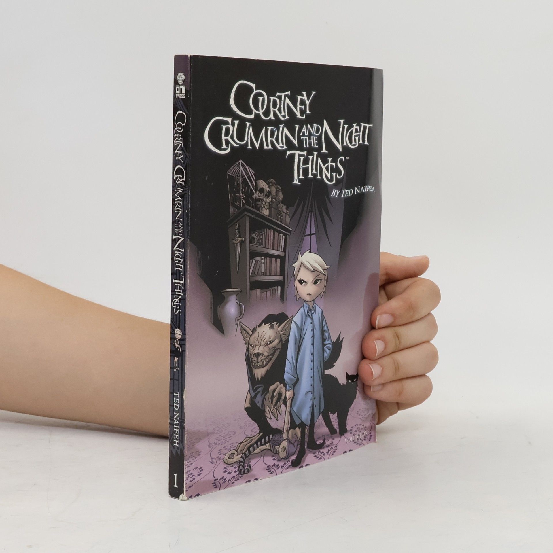 Courtney Crumrin and the Night Things