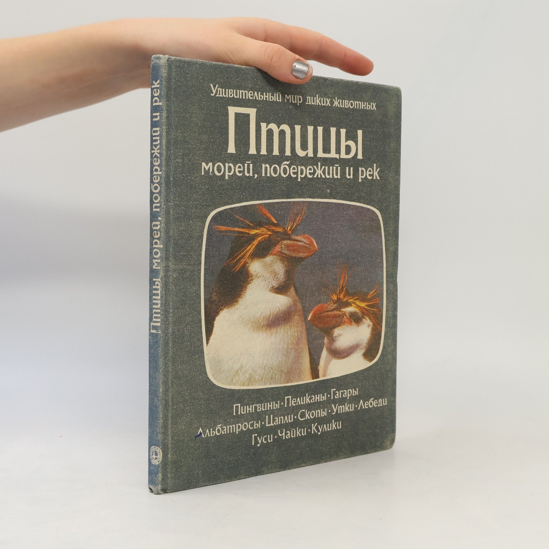Autorenkollektiv Птицы морей, побережий и рек