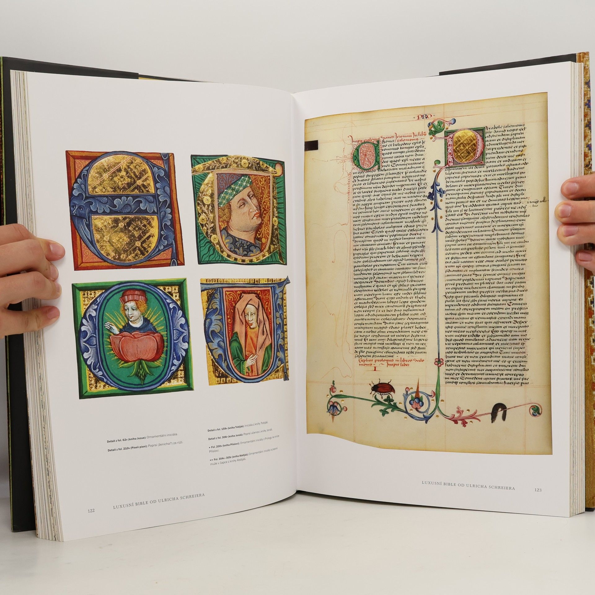Andreas Fingernagel Nejkrásnější bible středověku