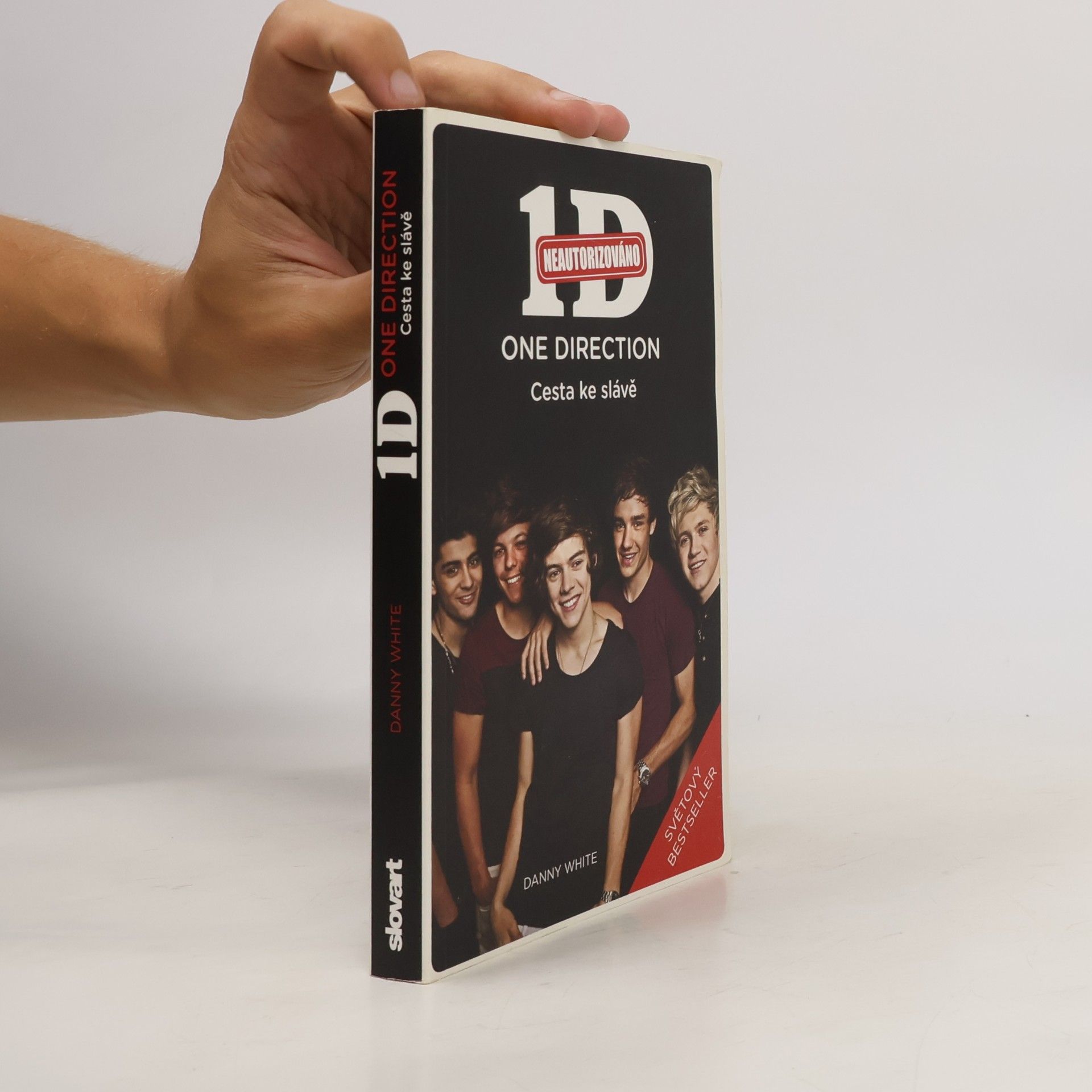 Danny White 1D - One Direction: Cesta ke slávě