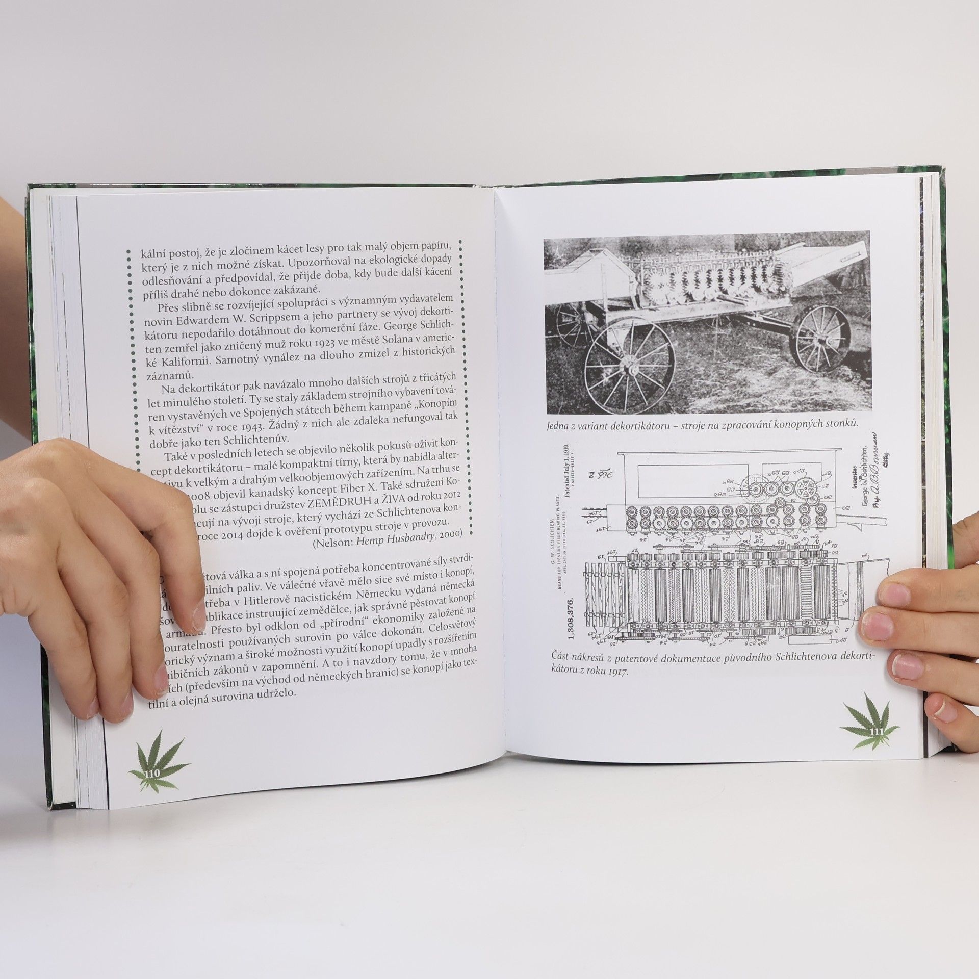 Michal Ruman Cannabis. Konopí.