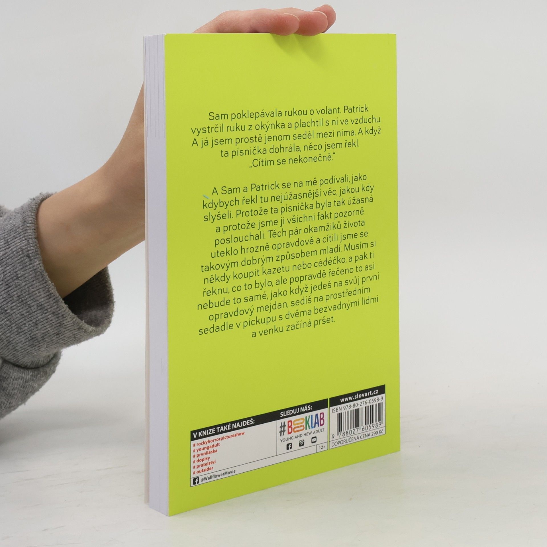 Stephen Chbosky Ten, kdo stojí v koutě