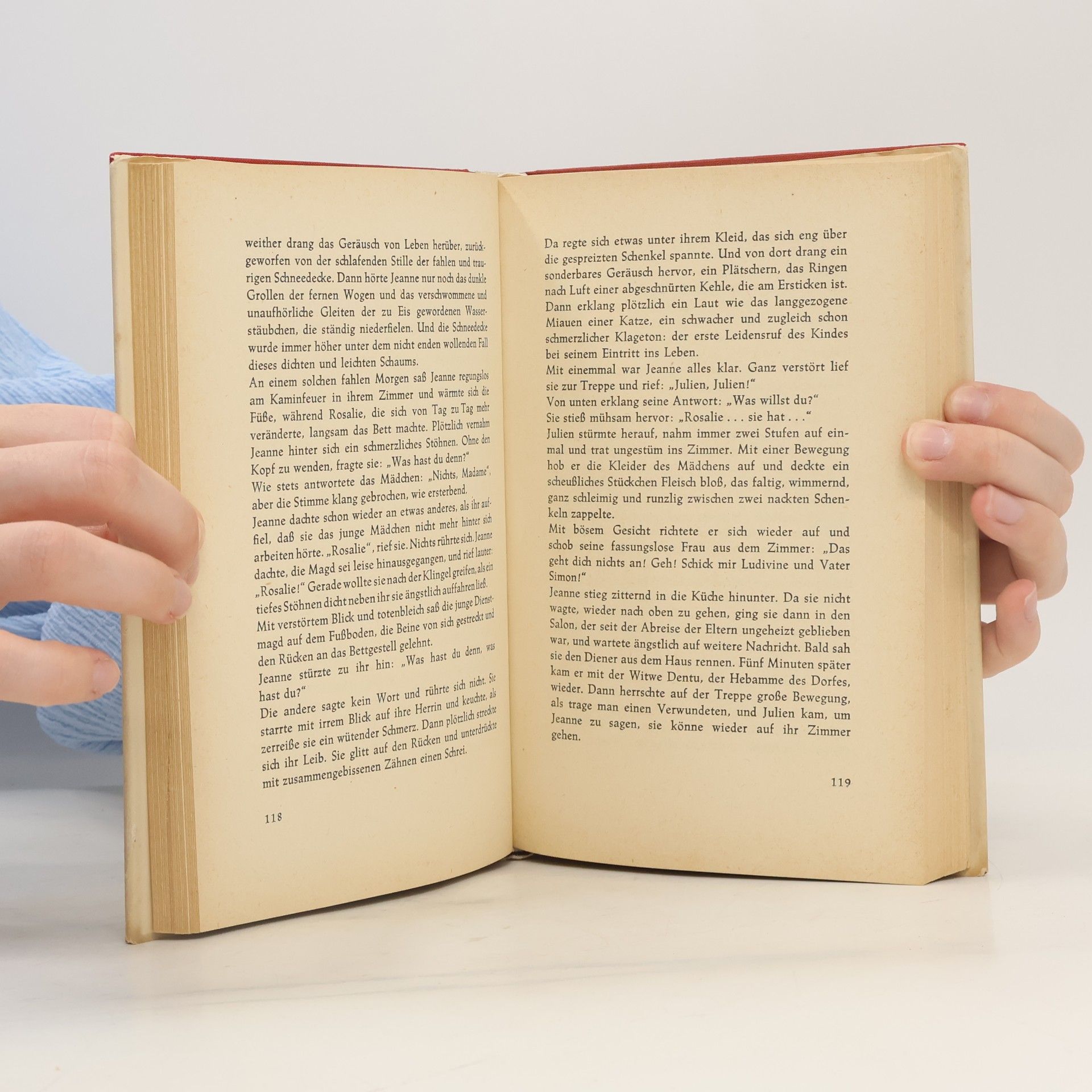 Guy de Maupassant Ein leben