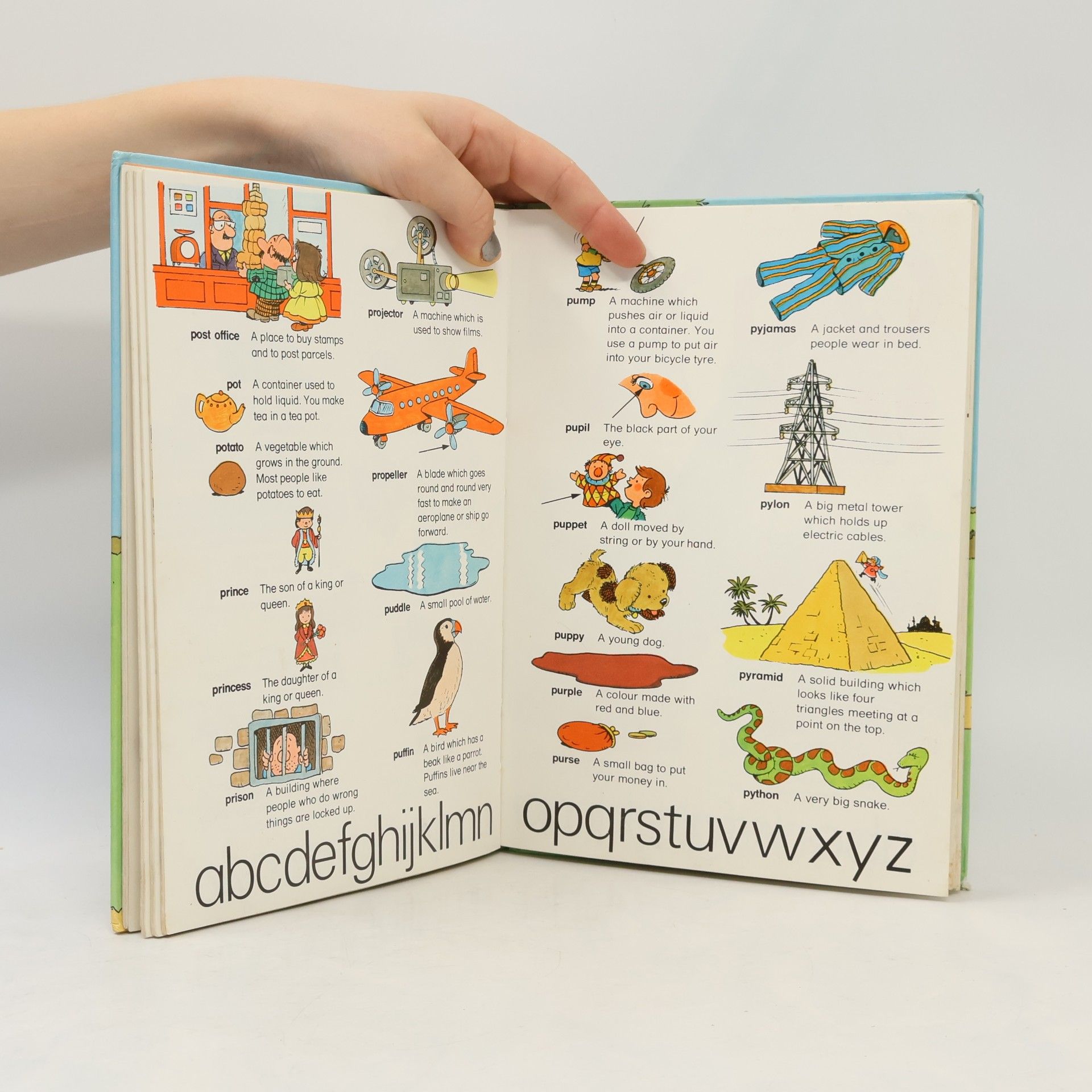 Betty Roat Purnell's Illustrated Children's Dictionary