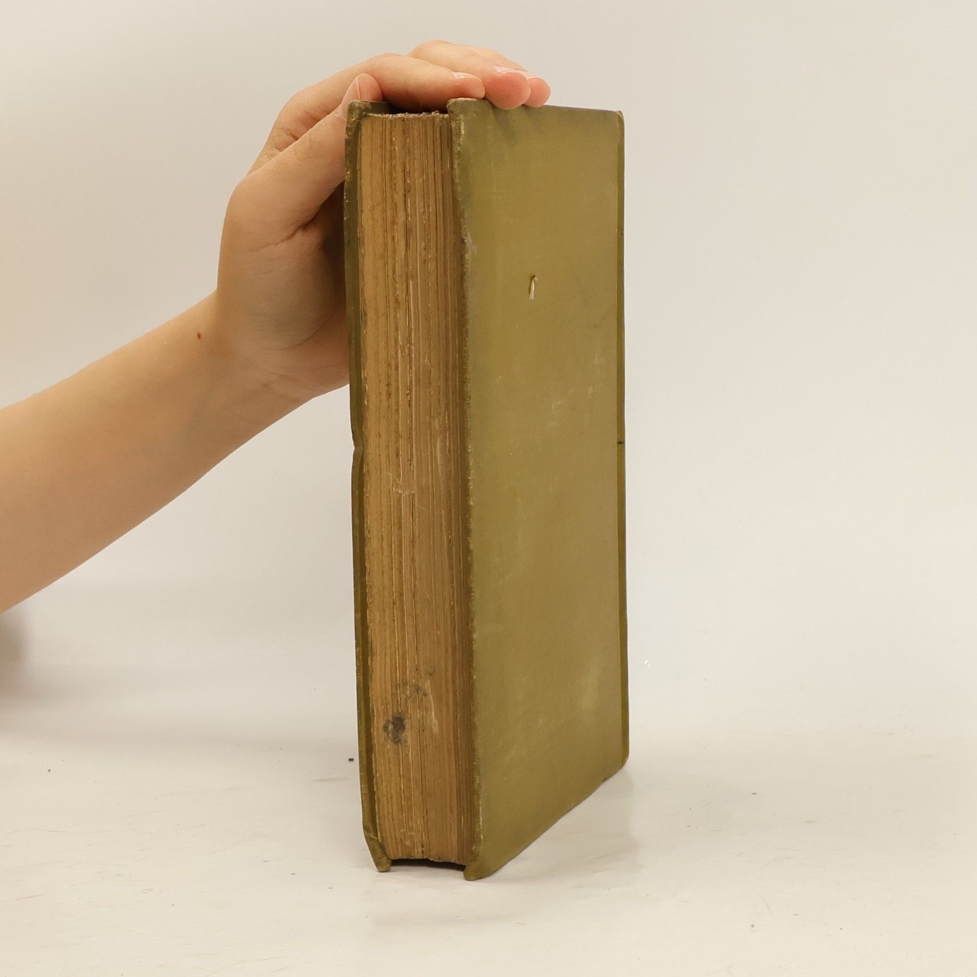 John Ruskin Modern Painters II. Part III