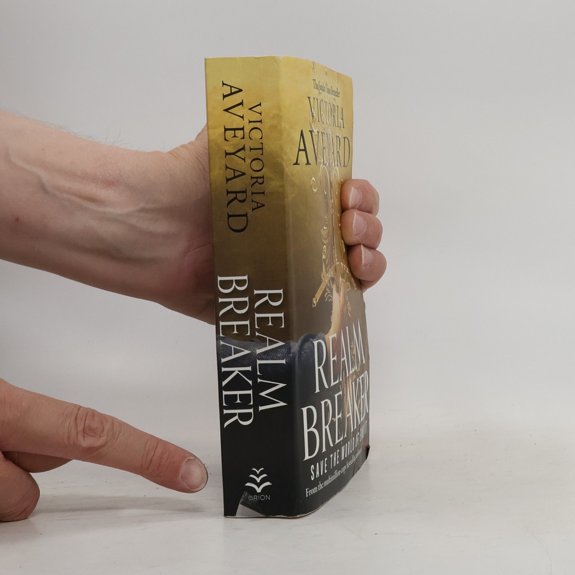 Victoria Aveyard Realm breaker