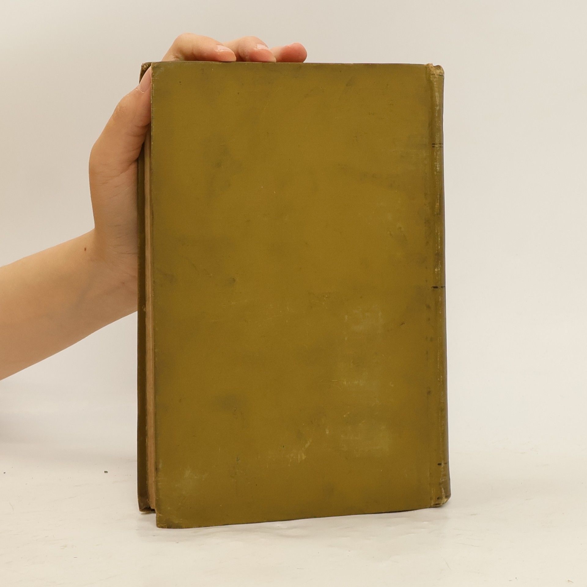 John Ruskin Stones of Venice, Volume the First, The Foundations