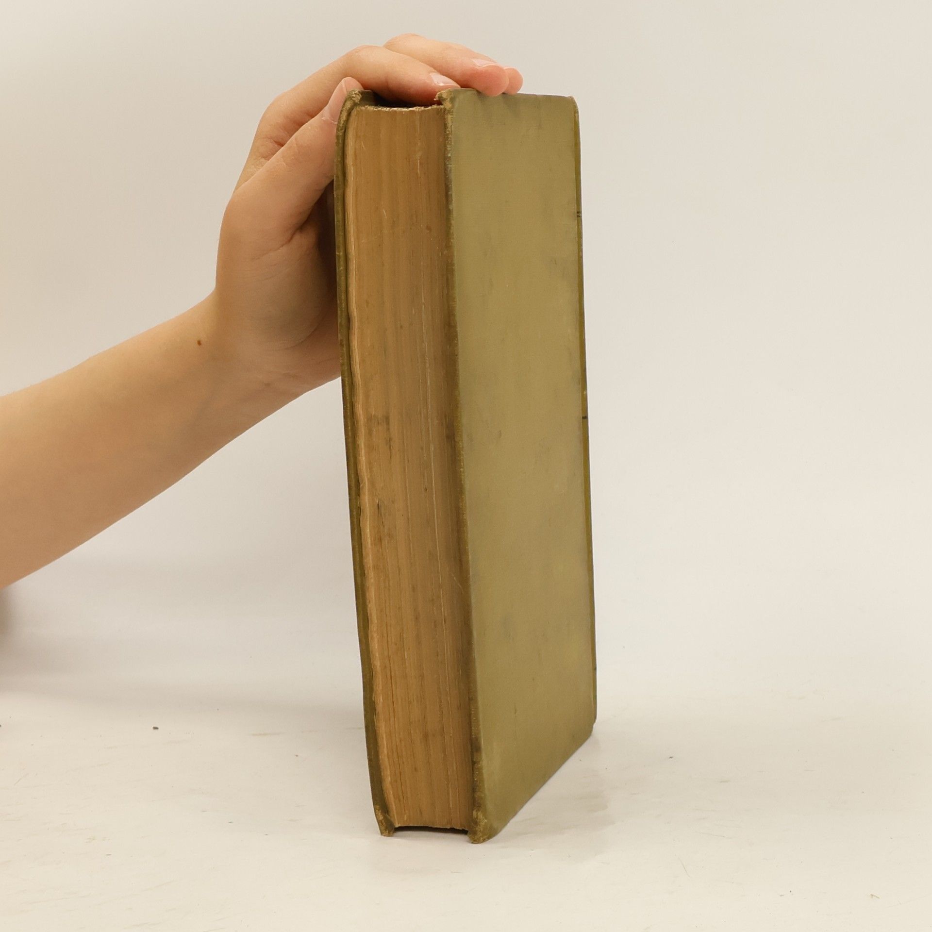 John Ruskin Stones of Venice, Volume the First, The Foundations