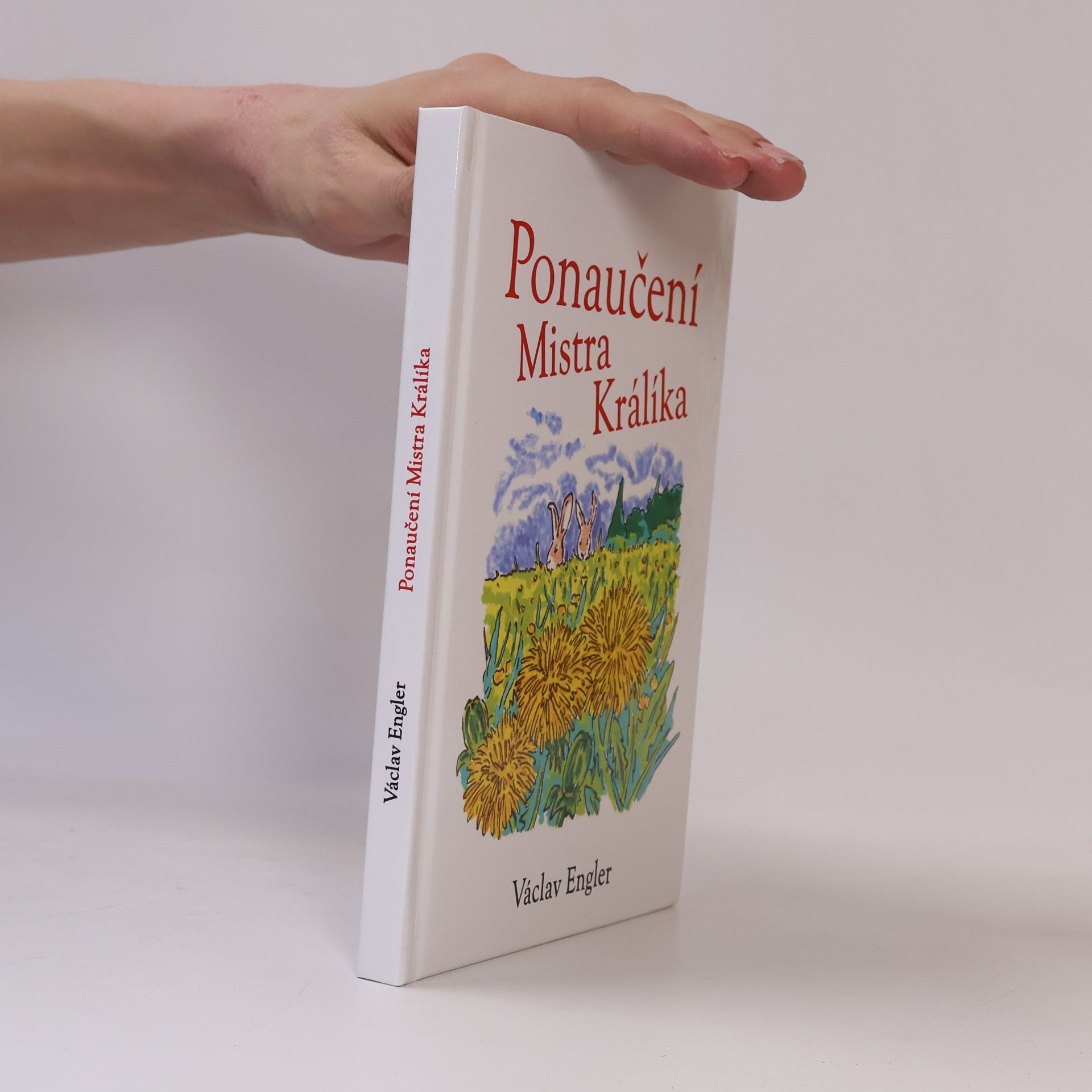 Václav Engler Ponaučení Mistra Králíka