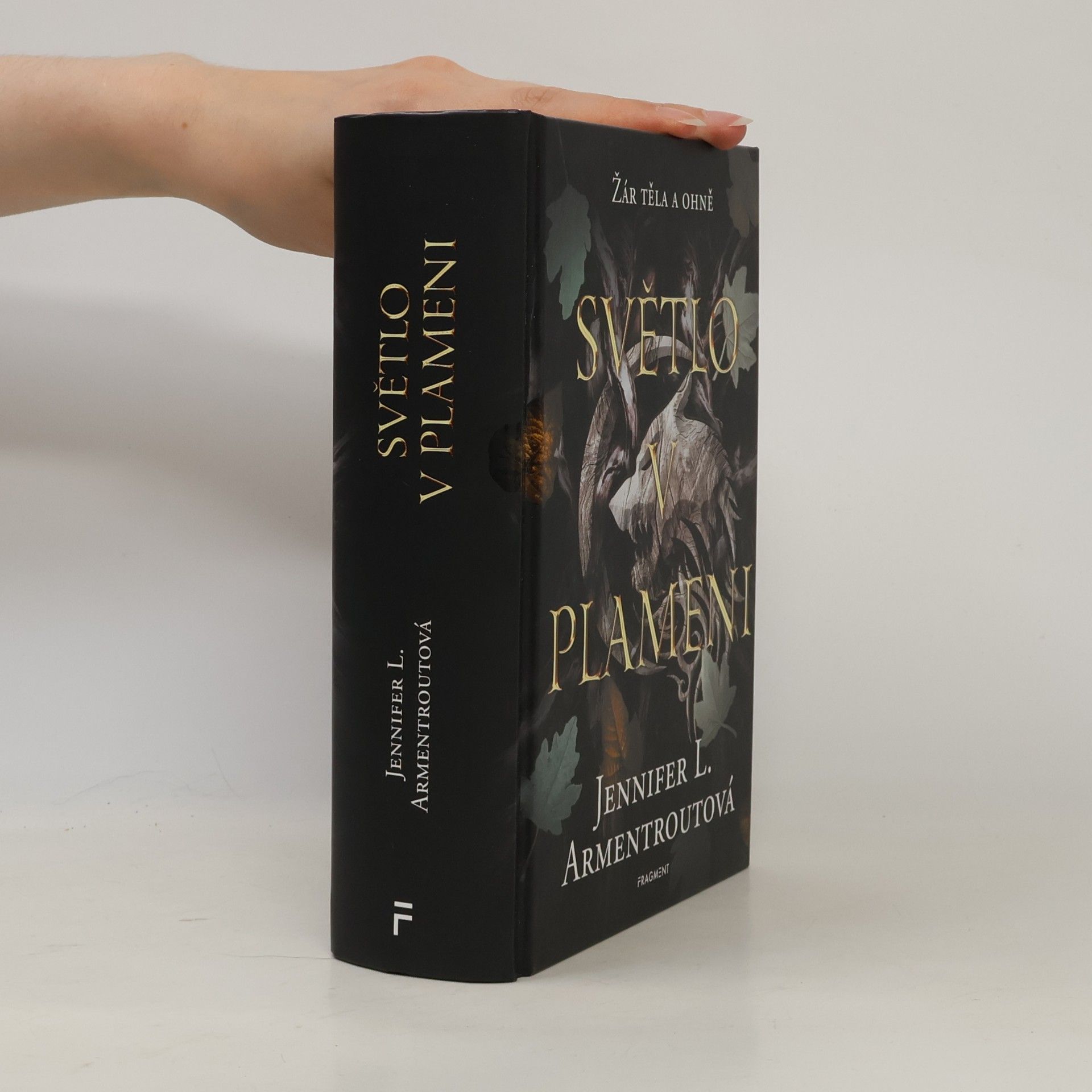 Jennifer Armentrout Světlo v plameni
