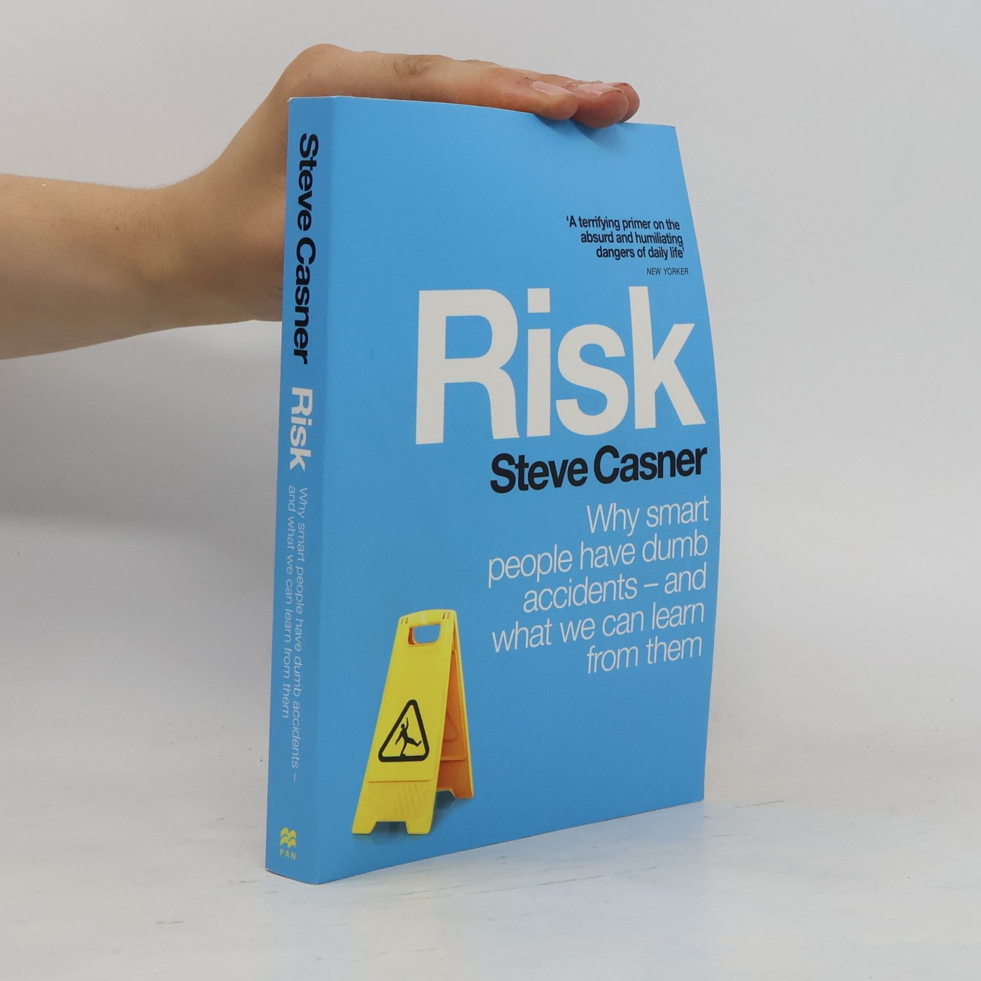 Steve Casner Risk