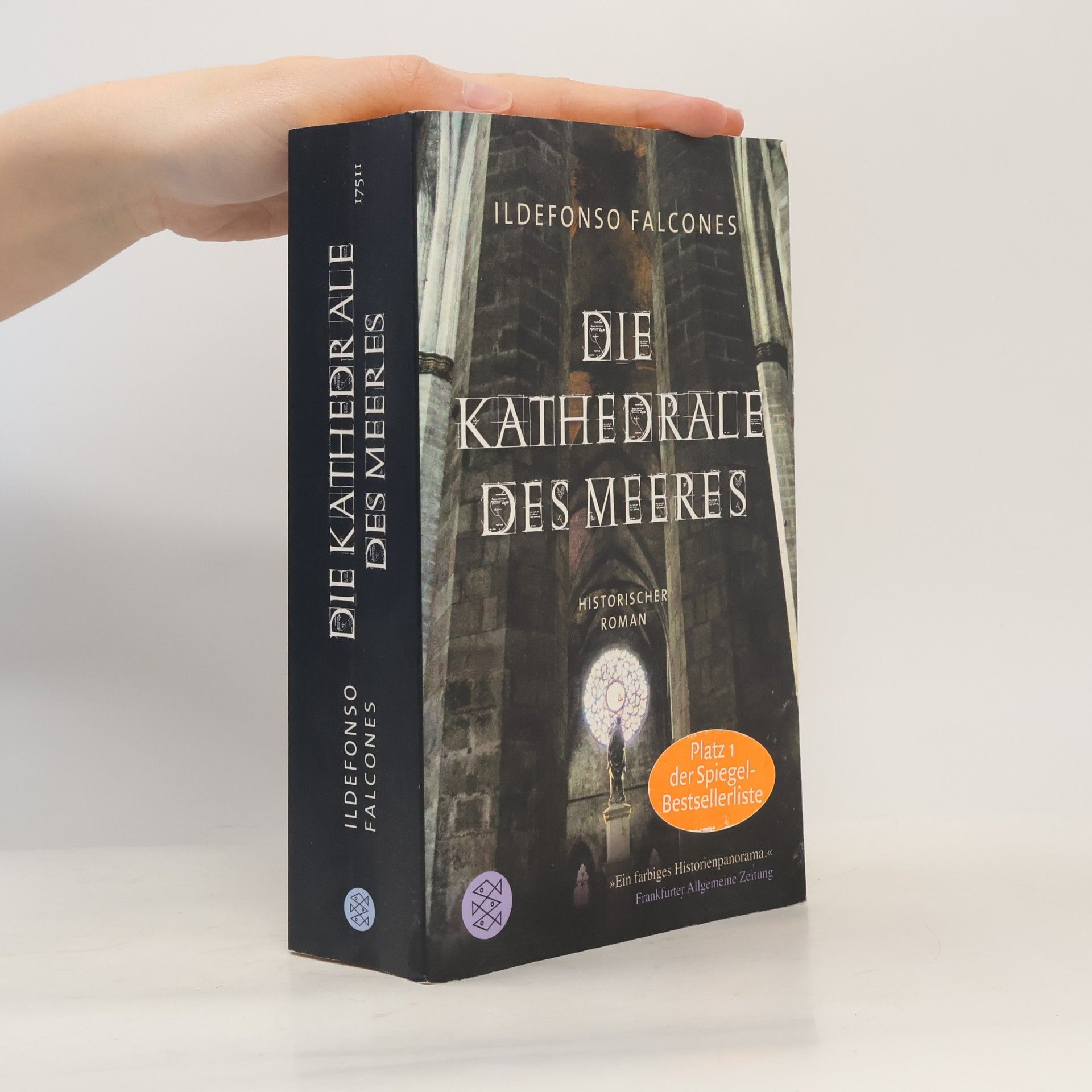 Ildefonso Falcones Die Kathedrale des Meeres