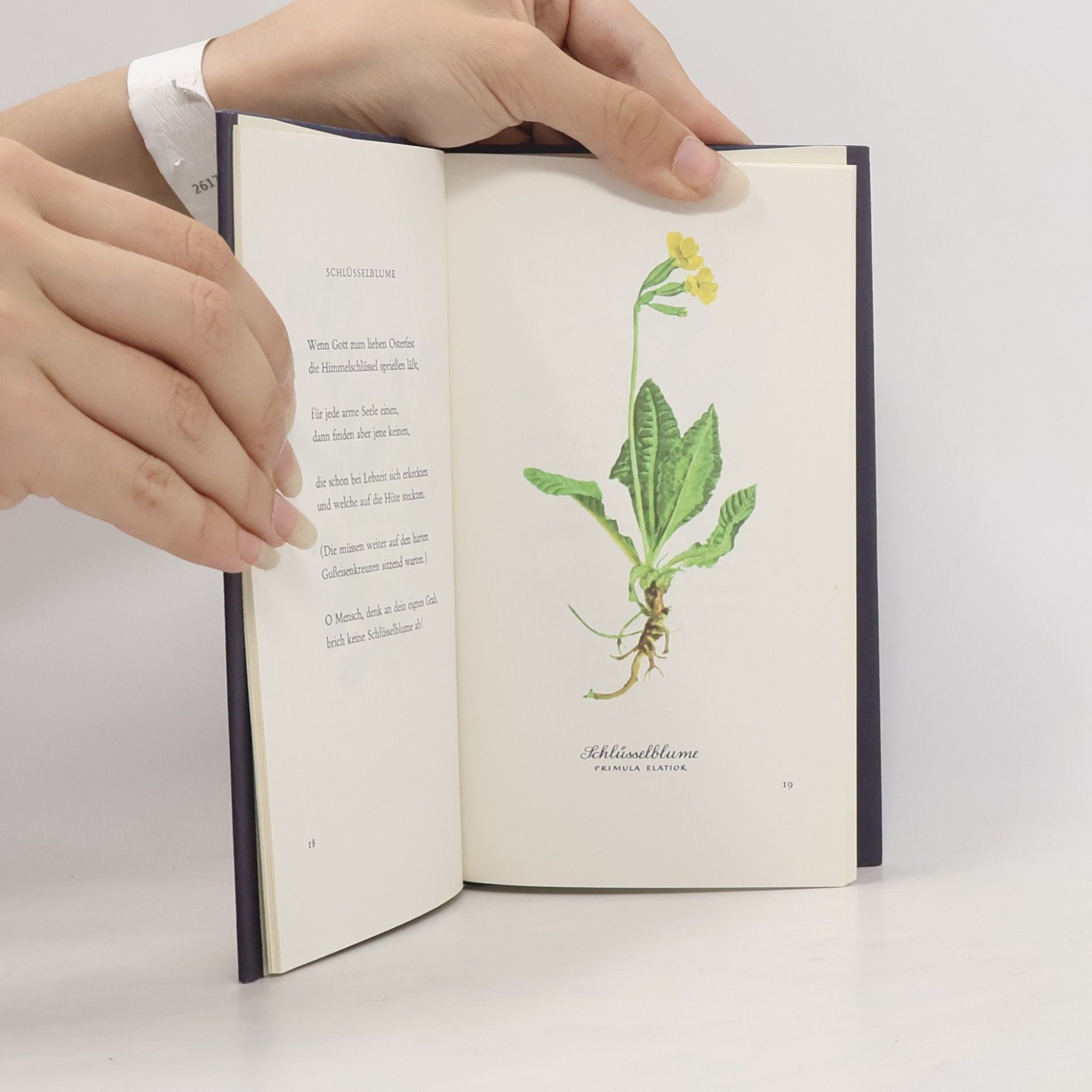 Karl Heinrich Waggerl Heiteres Herbarium
