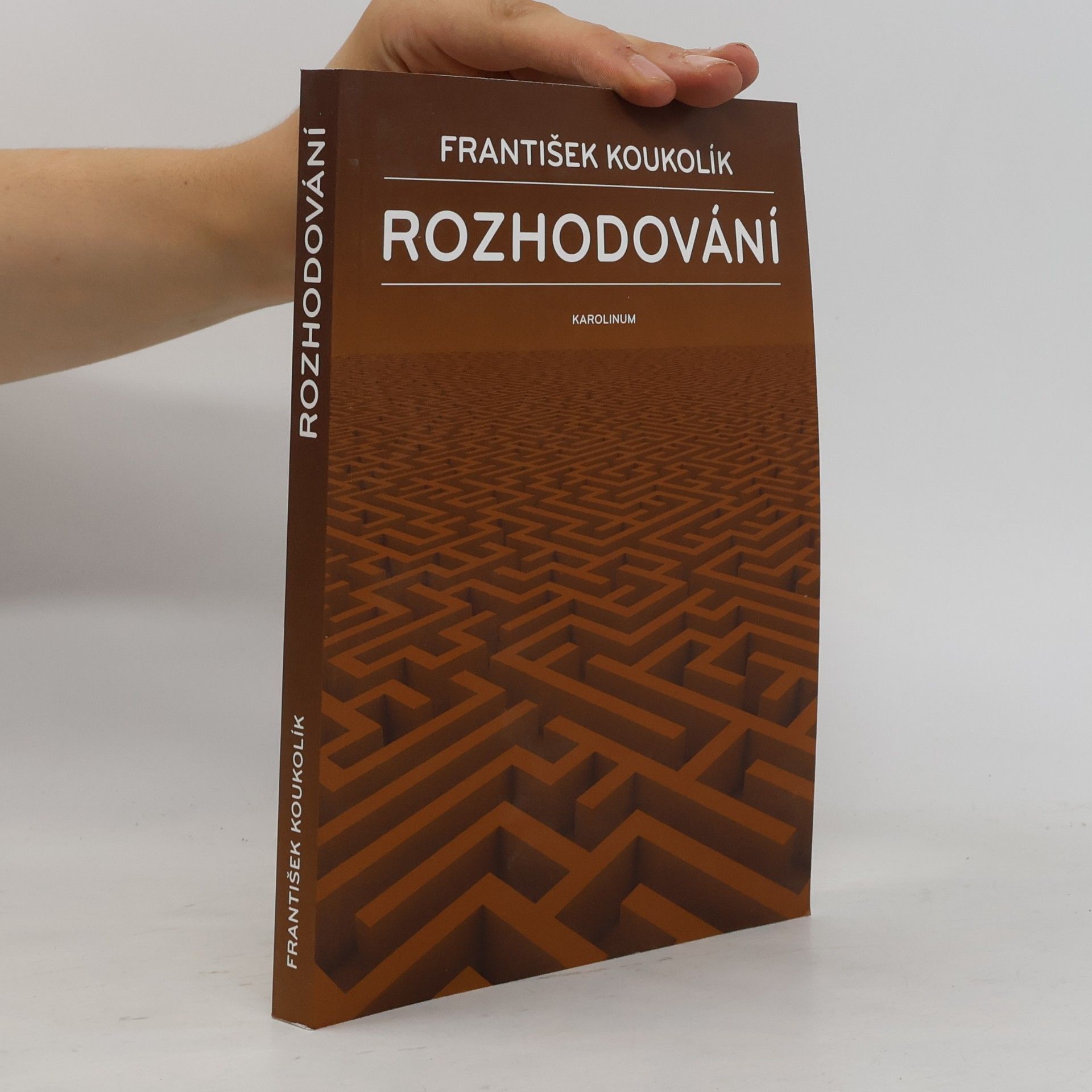 František Koukolík Rozhodování