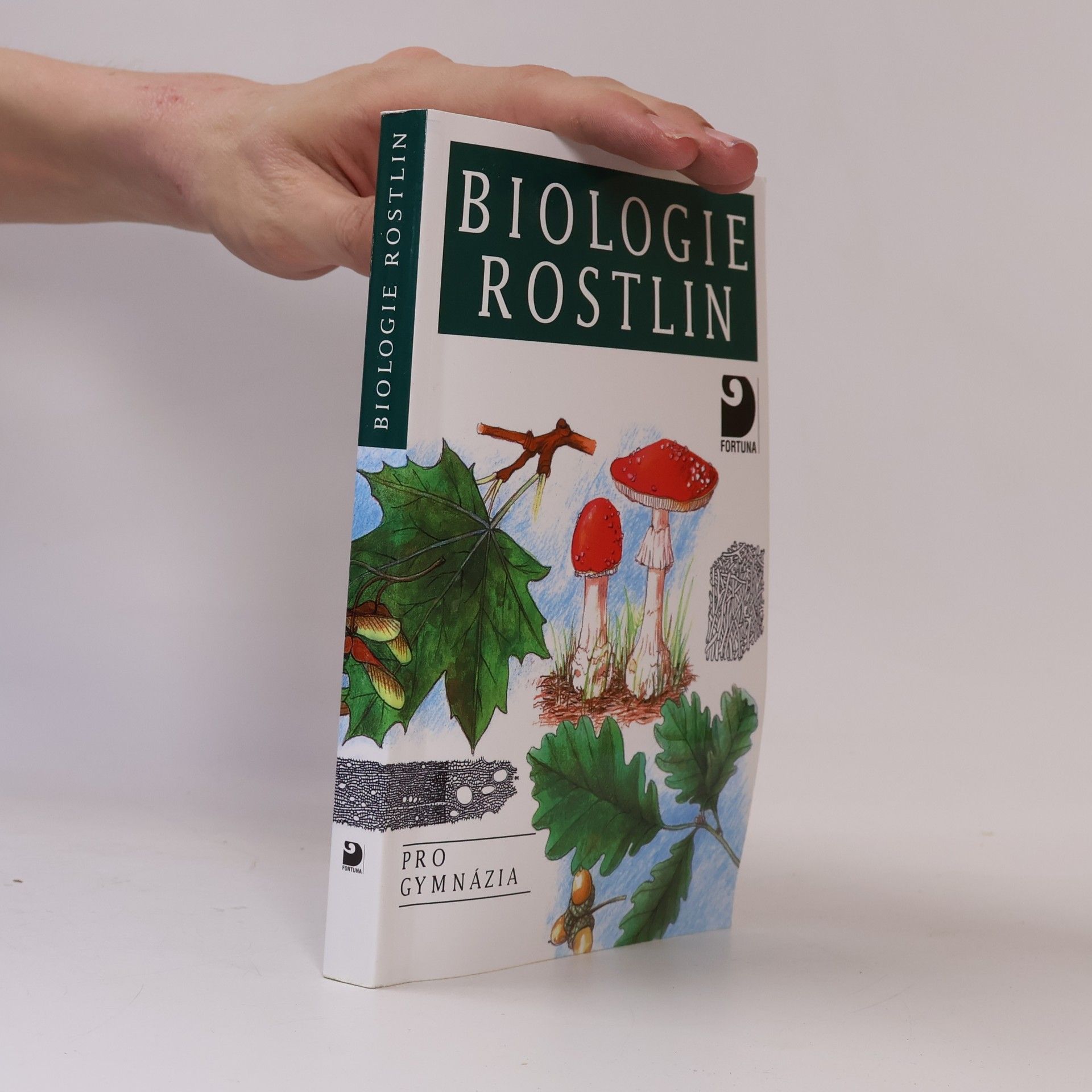 Biologie rostlin: Pro 1. ročník gymnázií
