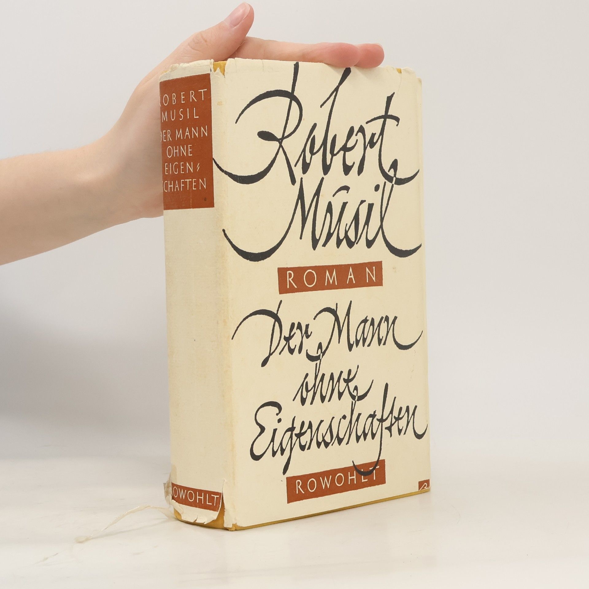 Robert Musil Der Mann ohne Eigenschaften