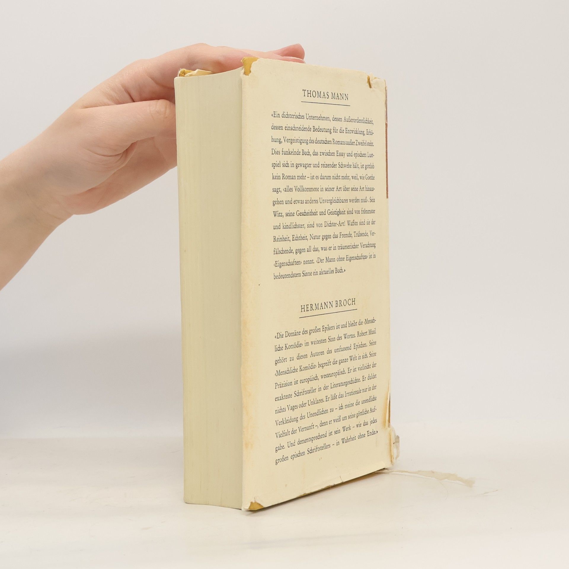 Robert Musil Der Mann ohne Eigenschaften