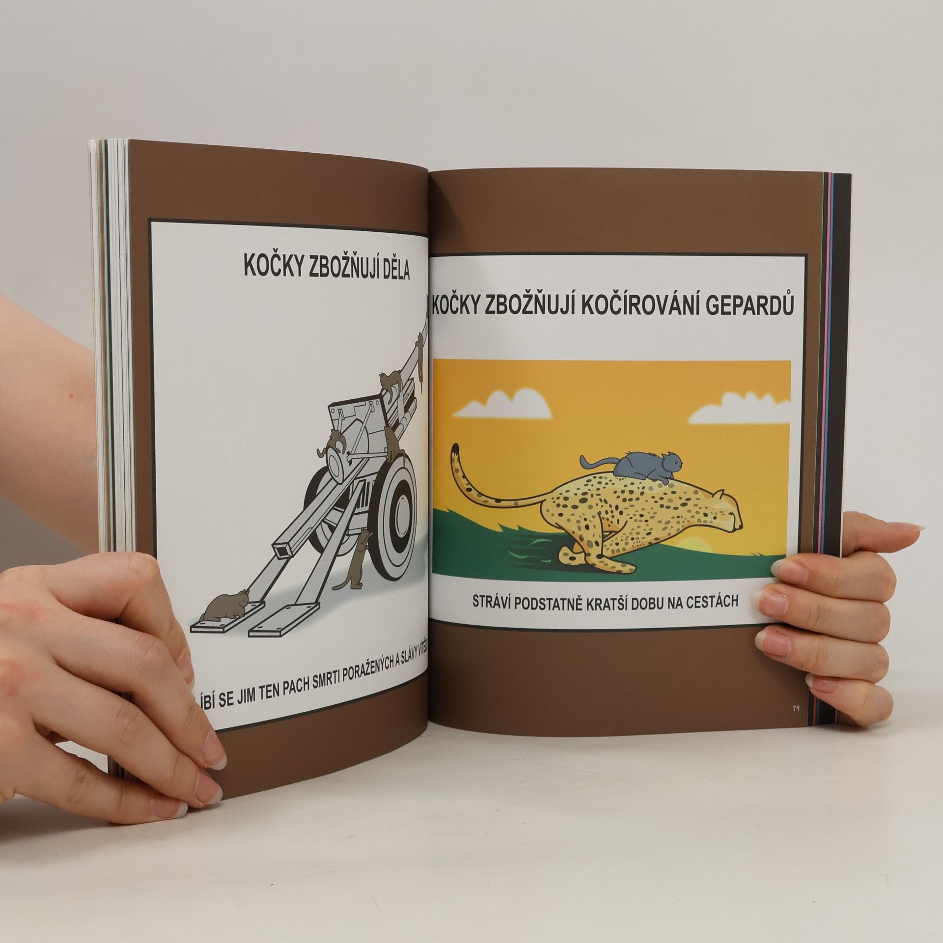 Matthew Inman Jak poznat, že vaše kočka touží po vaší krvi
