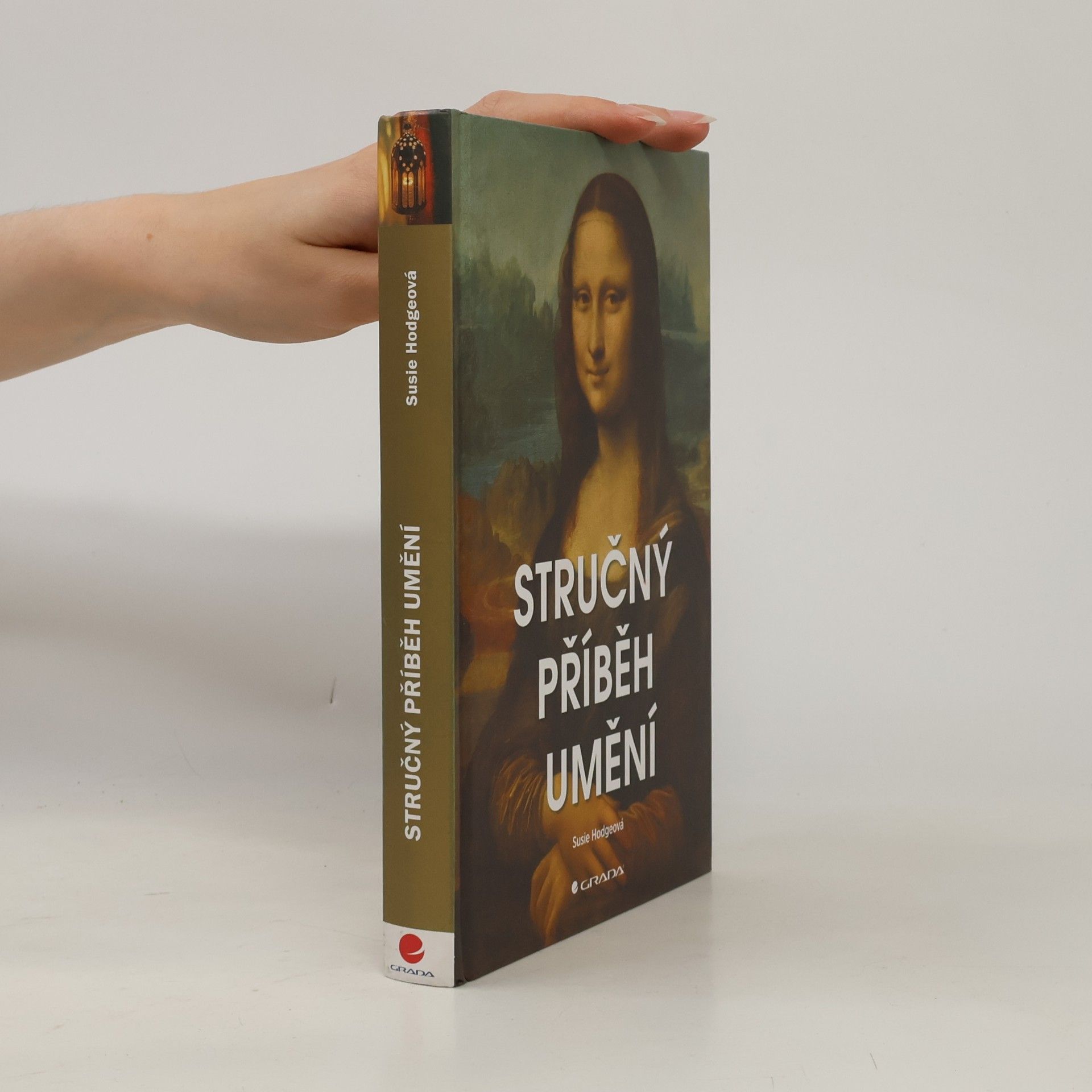 Susie Hodge Stručný příběh umění