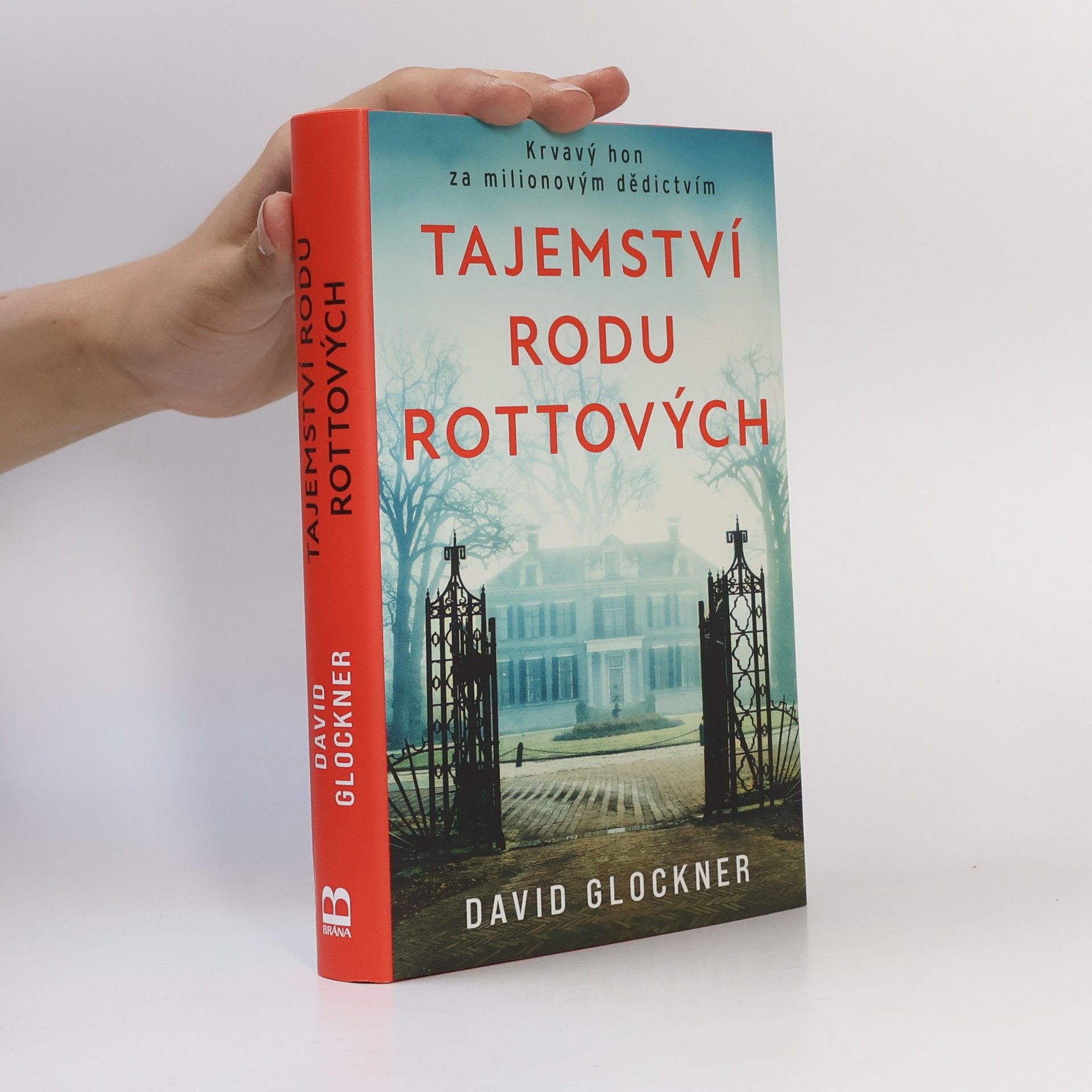David Glockner Tajemství rodu Rottových