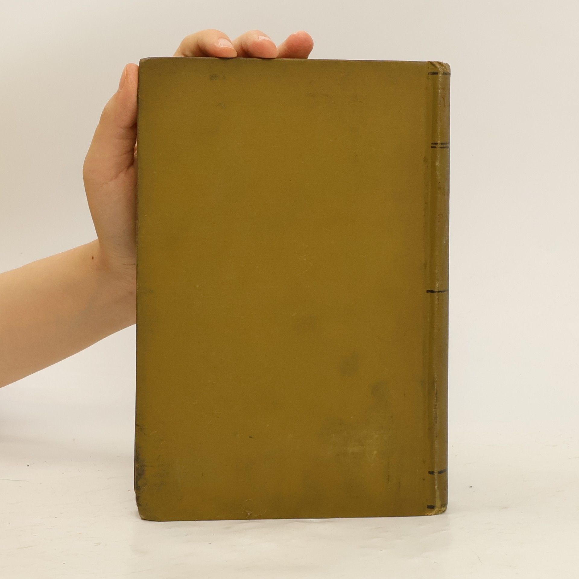 John Ruskin Modern Painters V