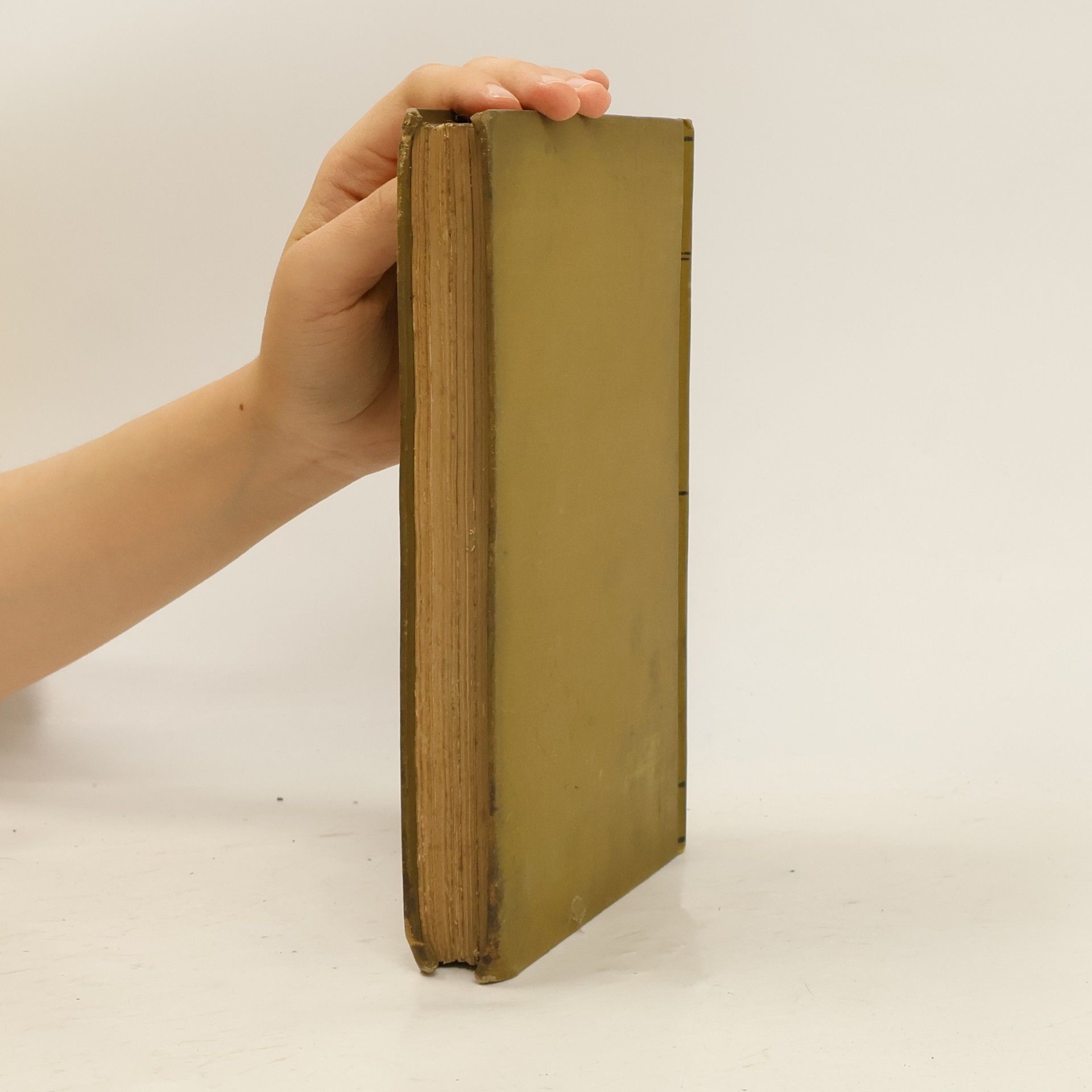 John Ruskin Modern Painters V