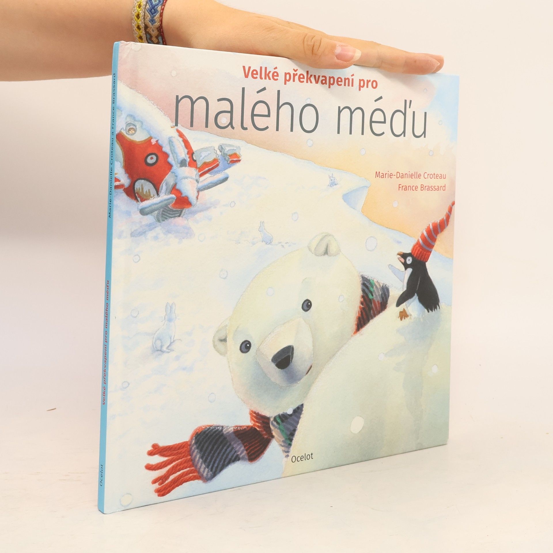 MarieDanielle Croteau Velké překvapení pro malého méďu