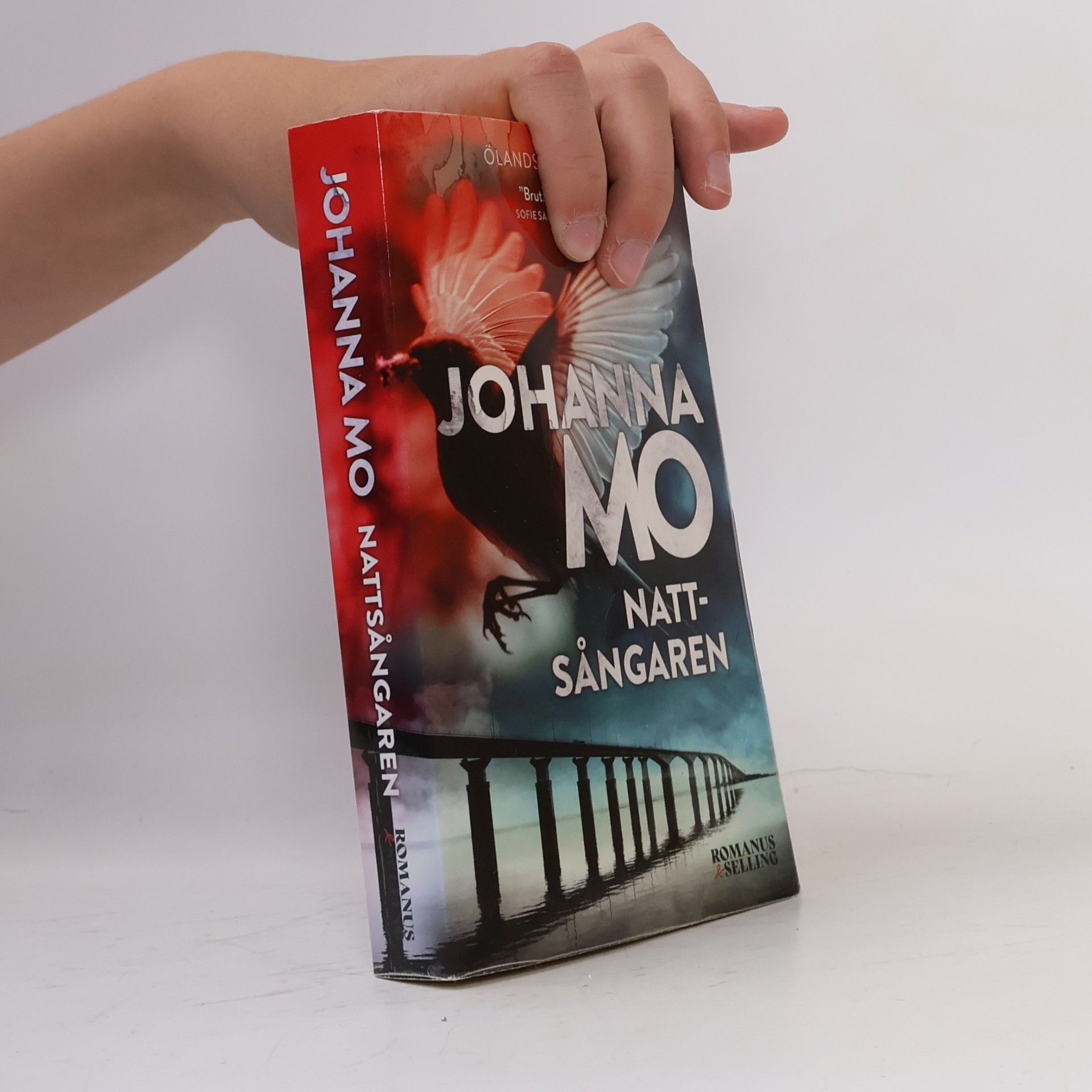 Johanna Mo Nattsångaren