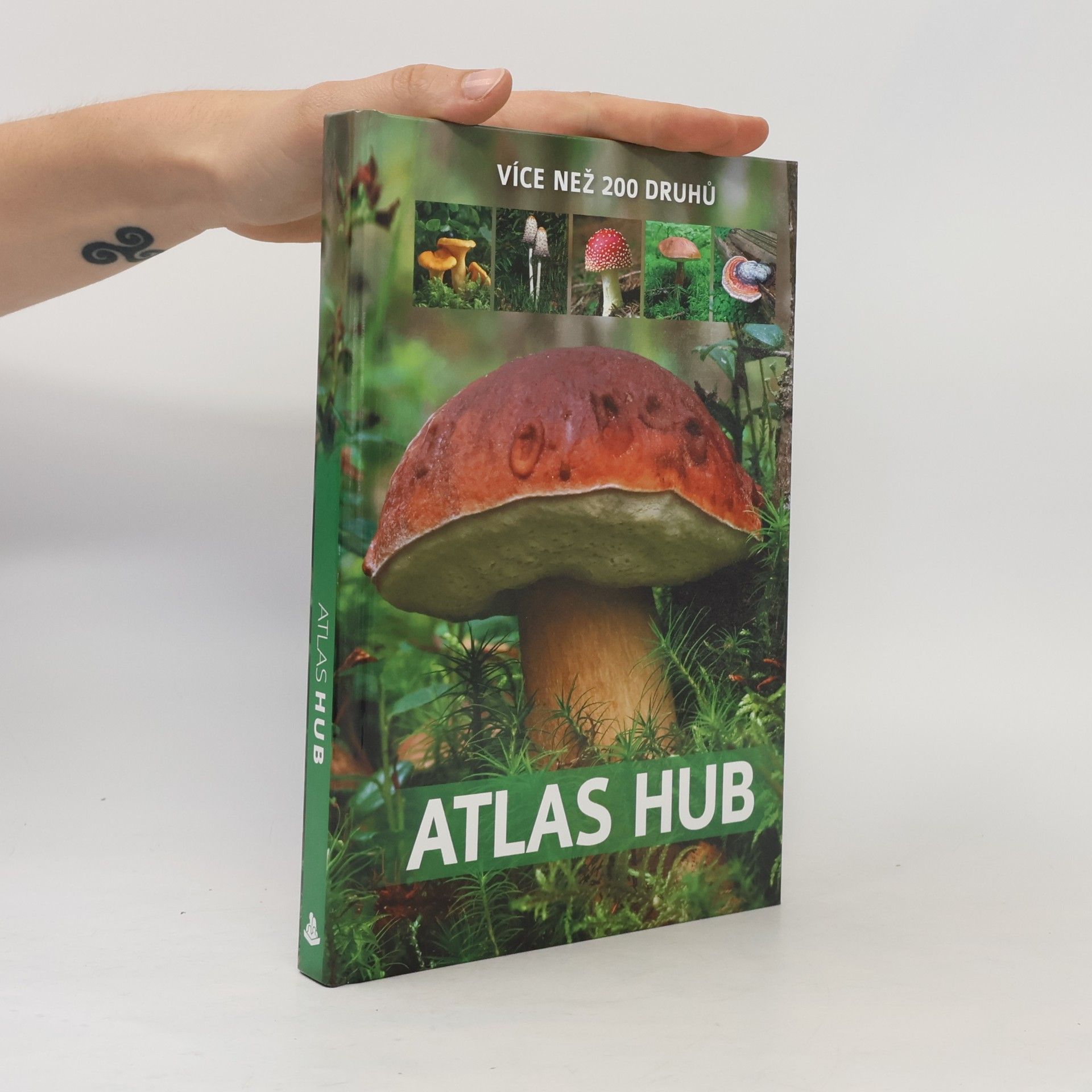 Wieslaw Kaminsky Atlas hub