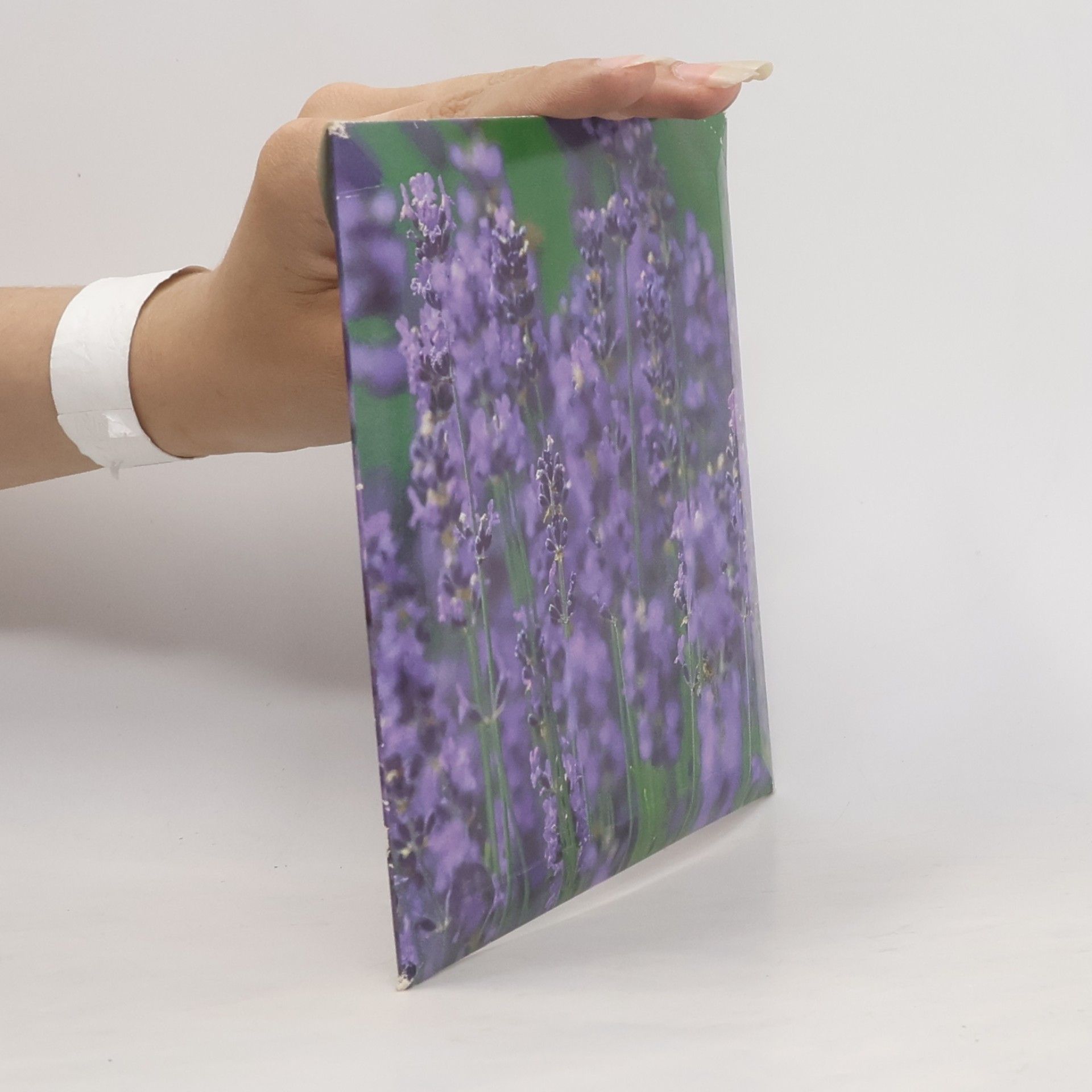 Collectif d'auteurs Blumen sind die Augen, mit denen uns die Natur anschaut