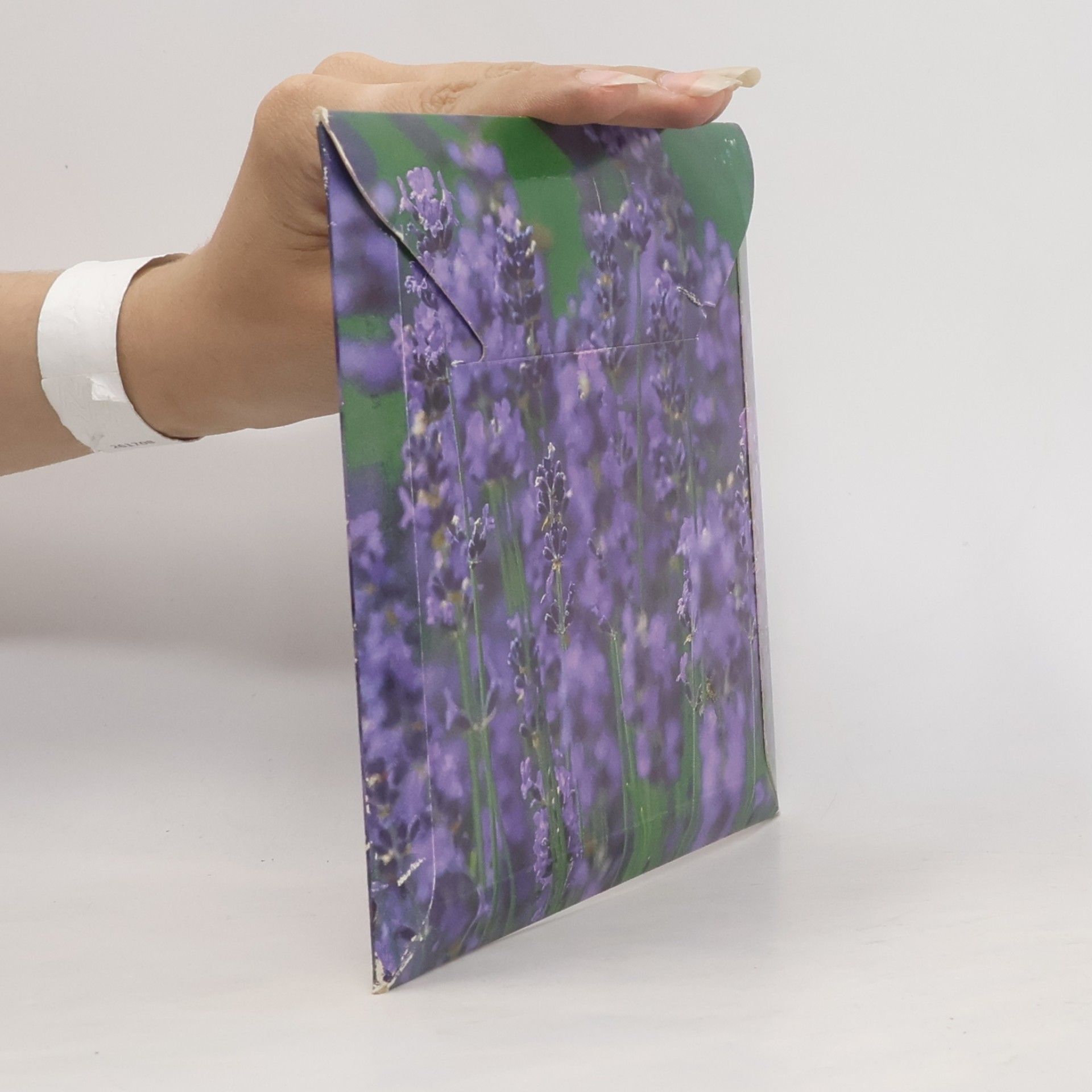 Autorenkollektiv Blumen sind die Augen, mit denen uns die Natur anschaut