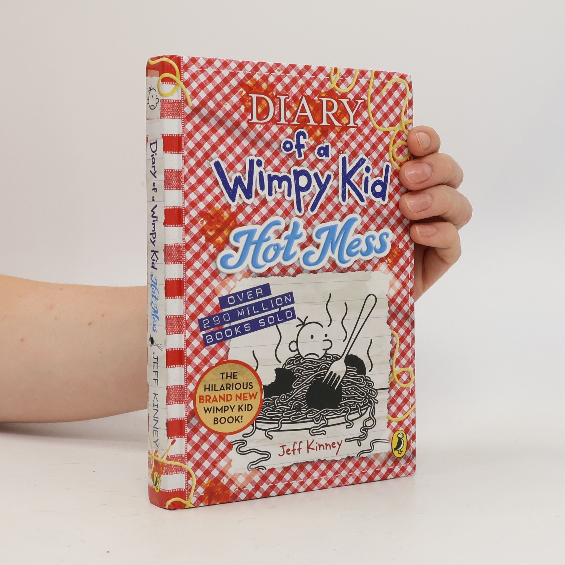 Jeff Kinney Diary of a Wimpy Kid, Hot Mess (Book 19)