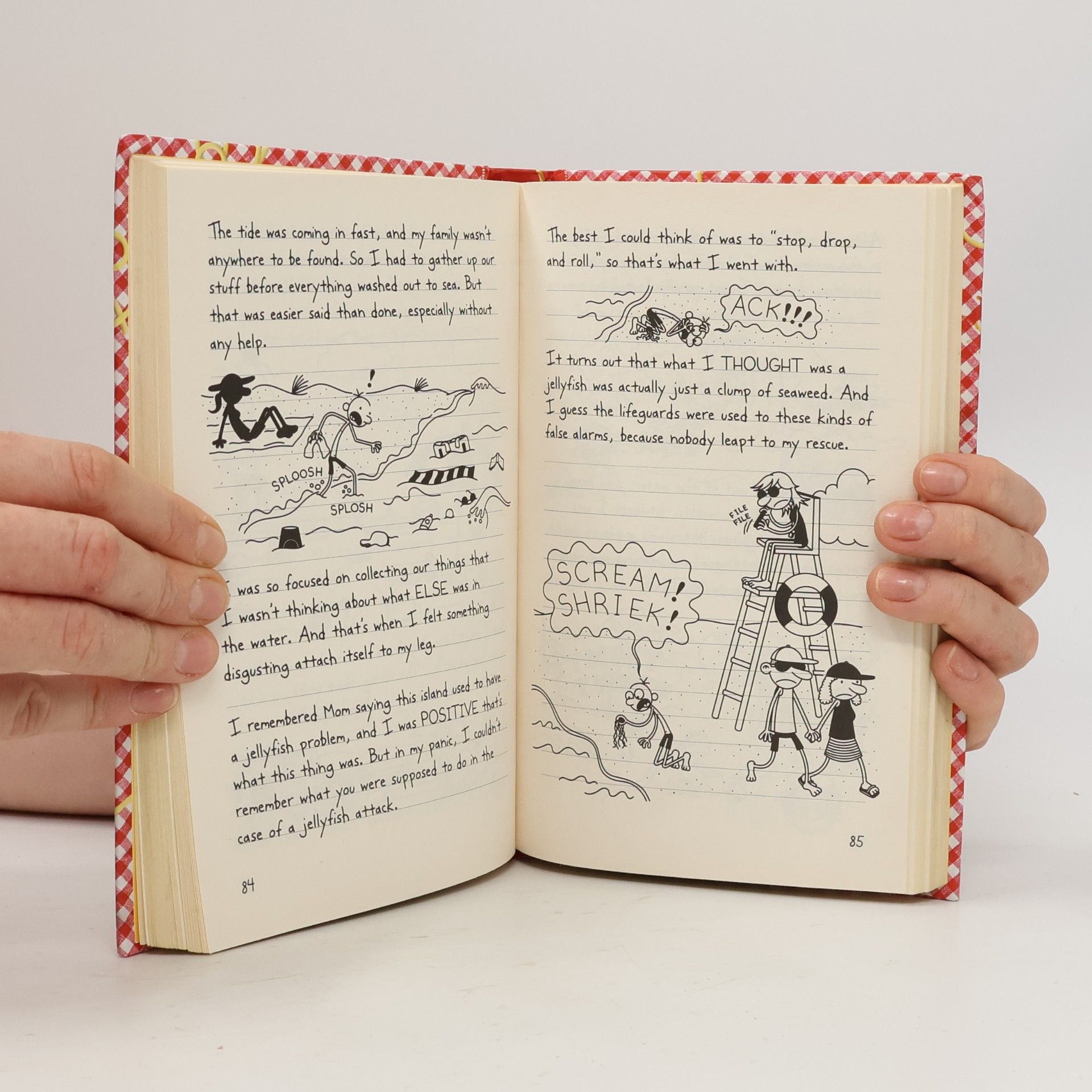 Jeff Kinney Diary of a Wimpy Kid, Hot Mess (Book 19)