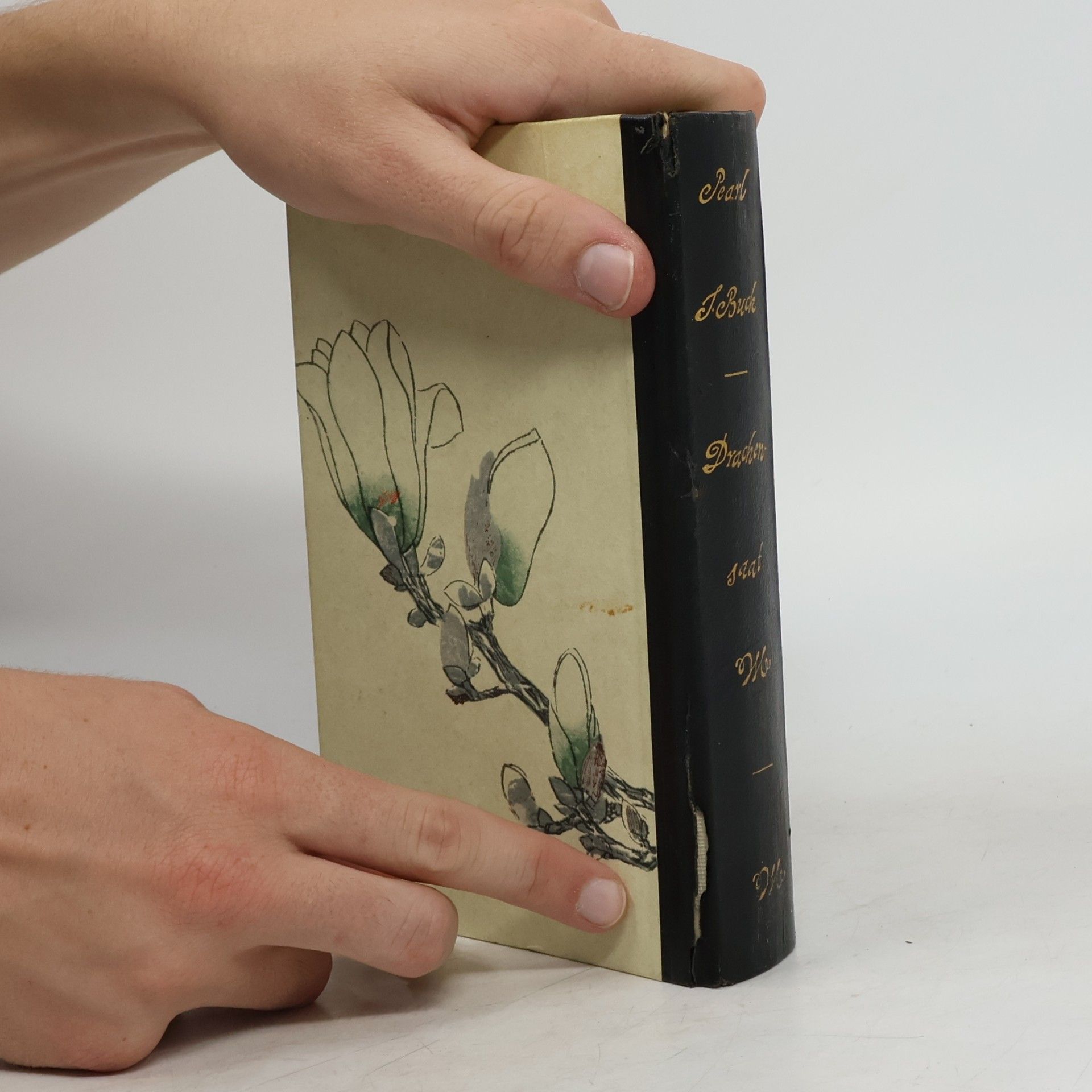 Pearl S. Buck Drachensaat