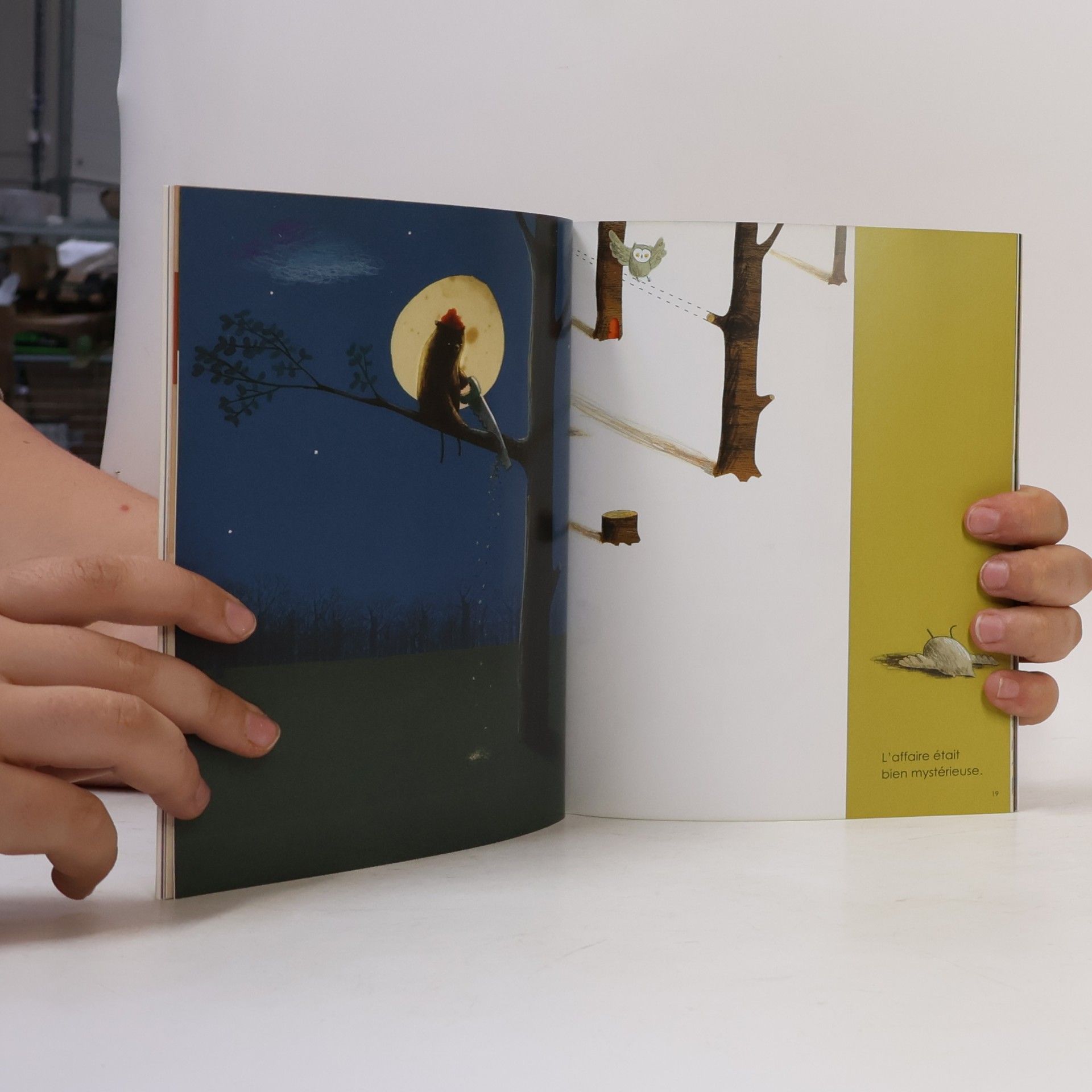 Oliver Jeffers Le filou de la forêt