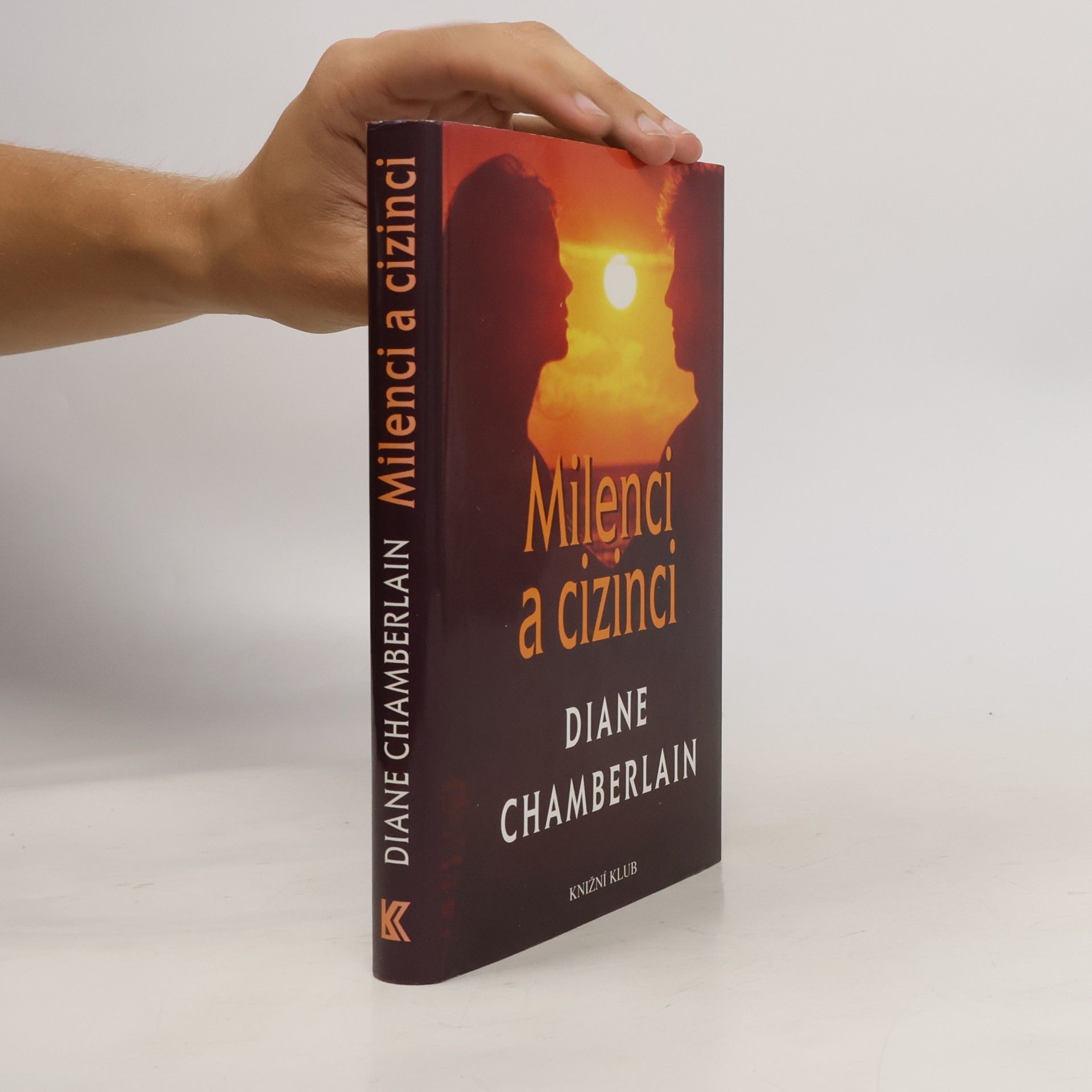 Diane Chamberlain Milenci a cizinci