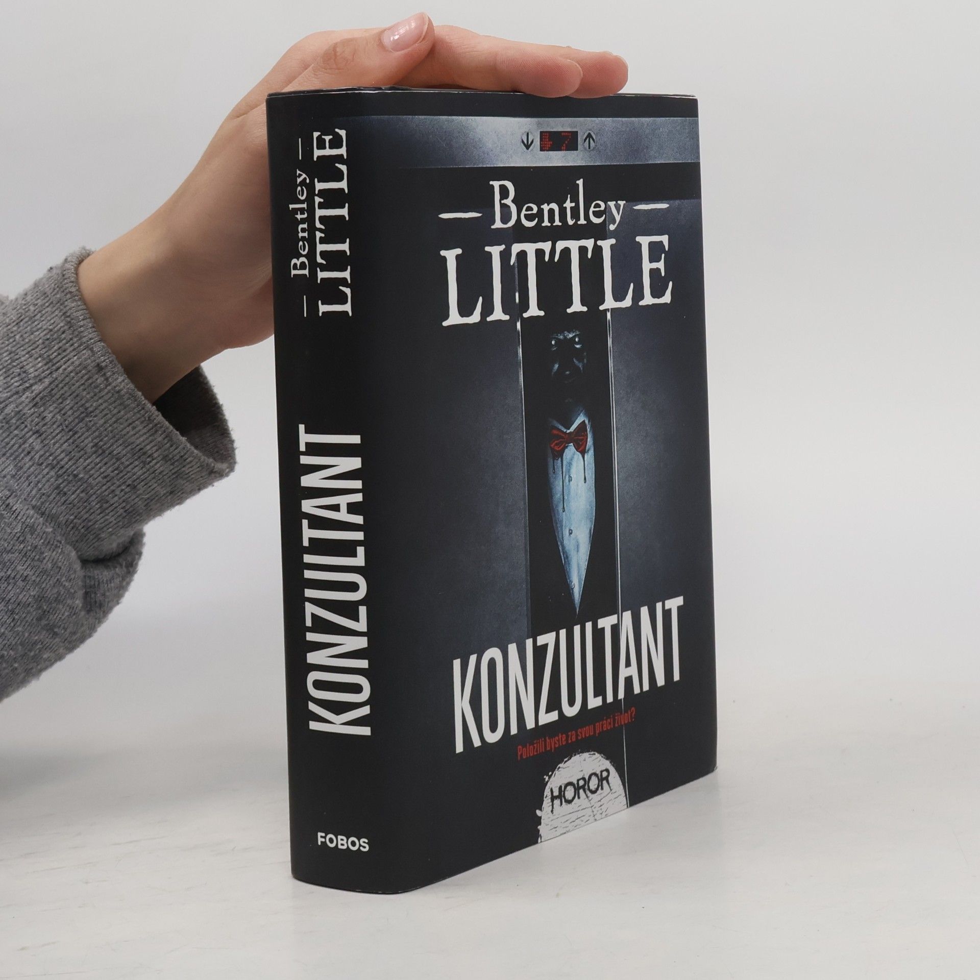 Bentley Little Konzultant