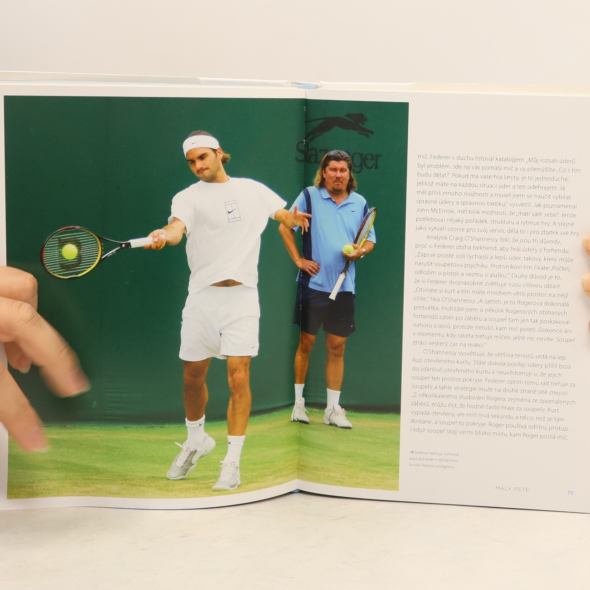 Mark Hodgkinson Fedegrafika : grafická biografie tenisového génia Rogera Federera
