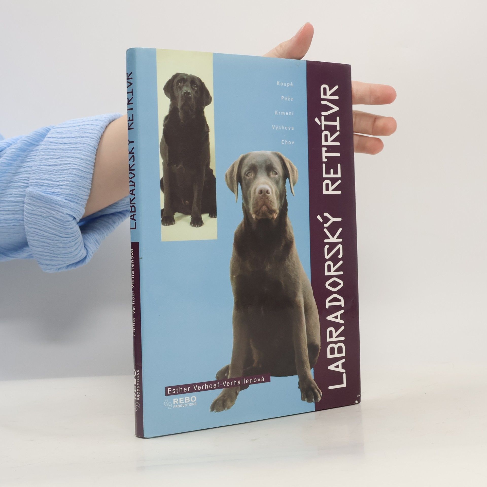 Berry Verhoef Labradorský retrívr