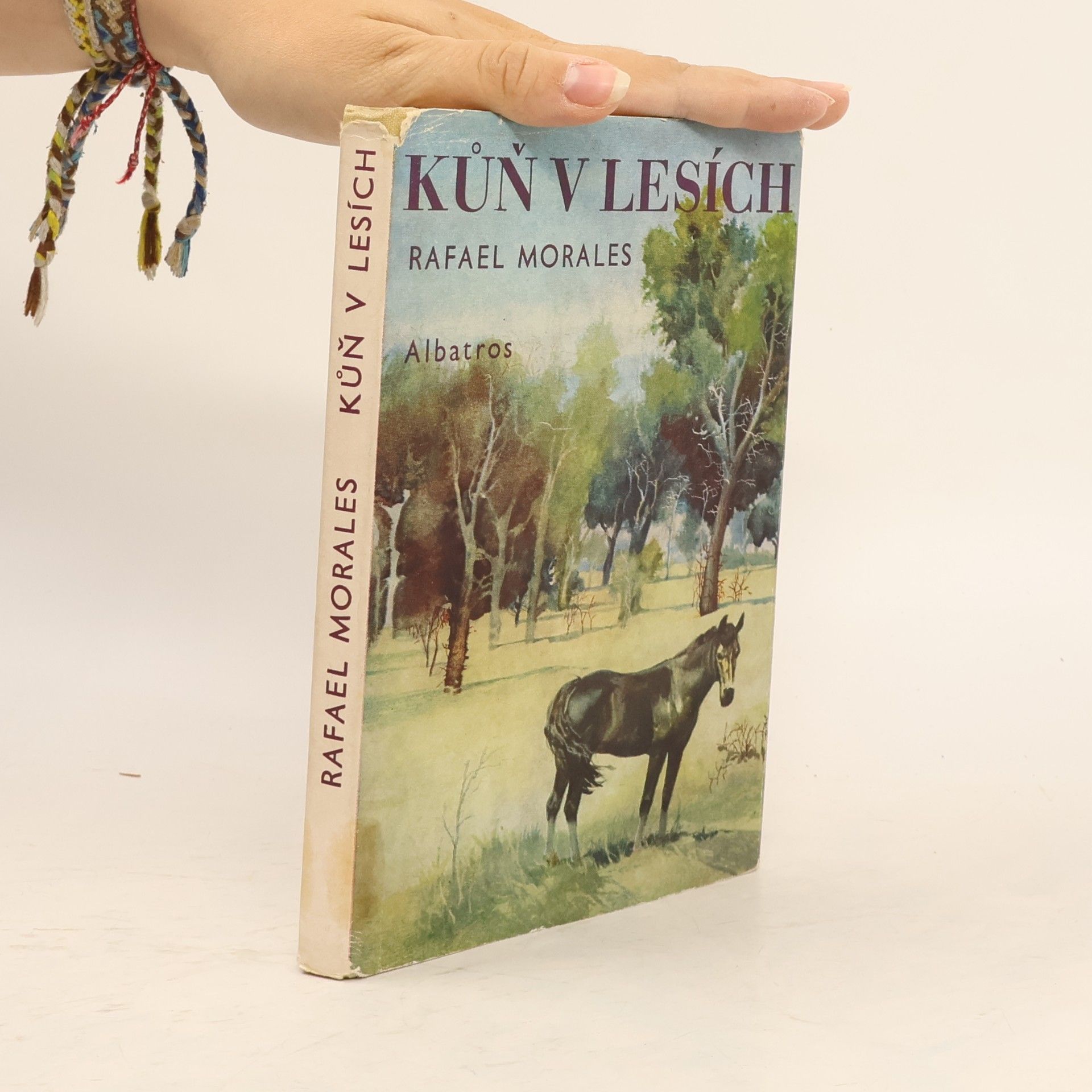 Kůň v lesích