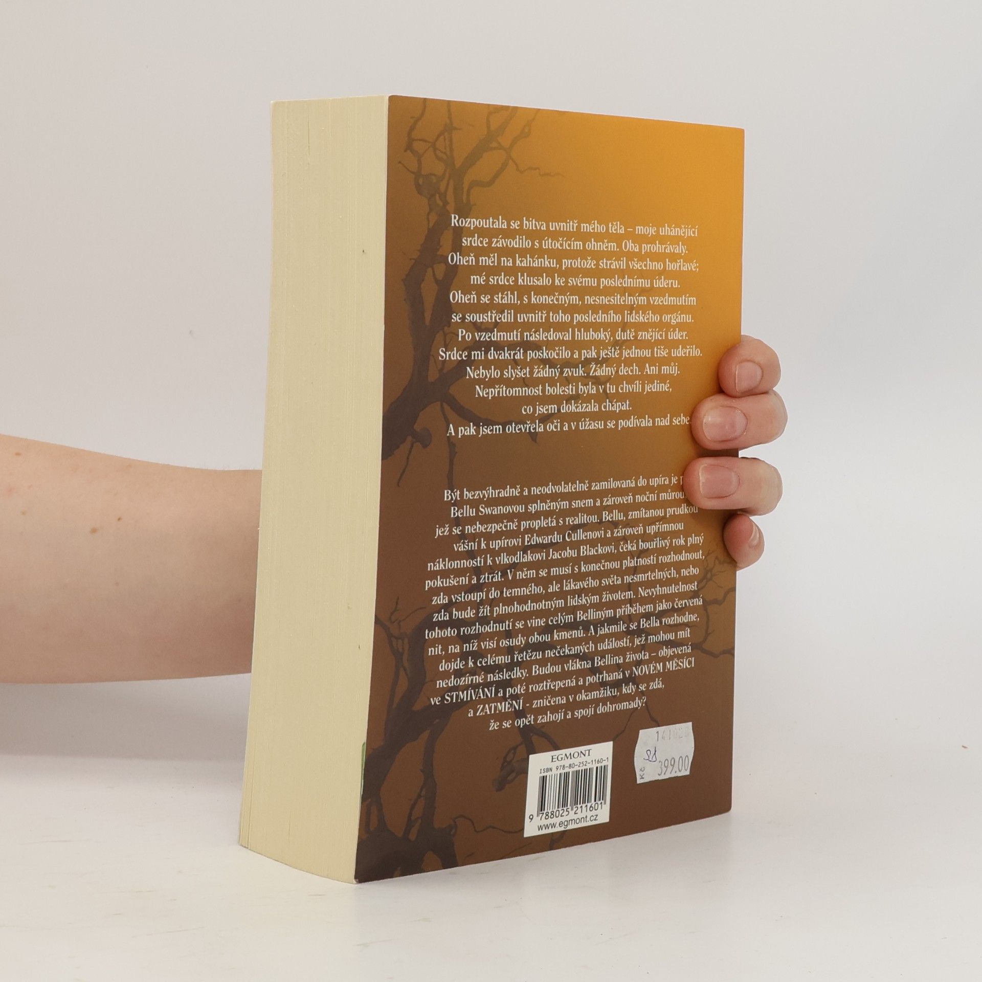Stephenie Meyer Rozbřesk