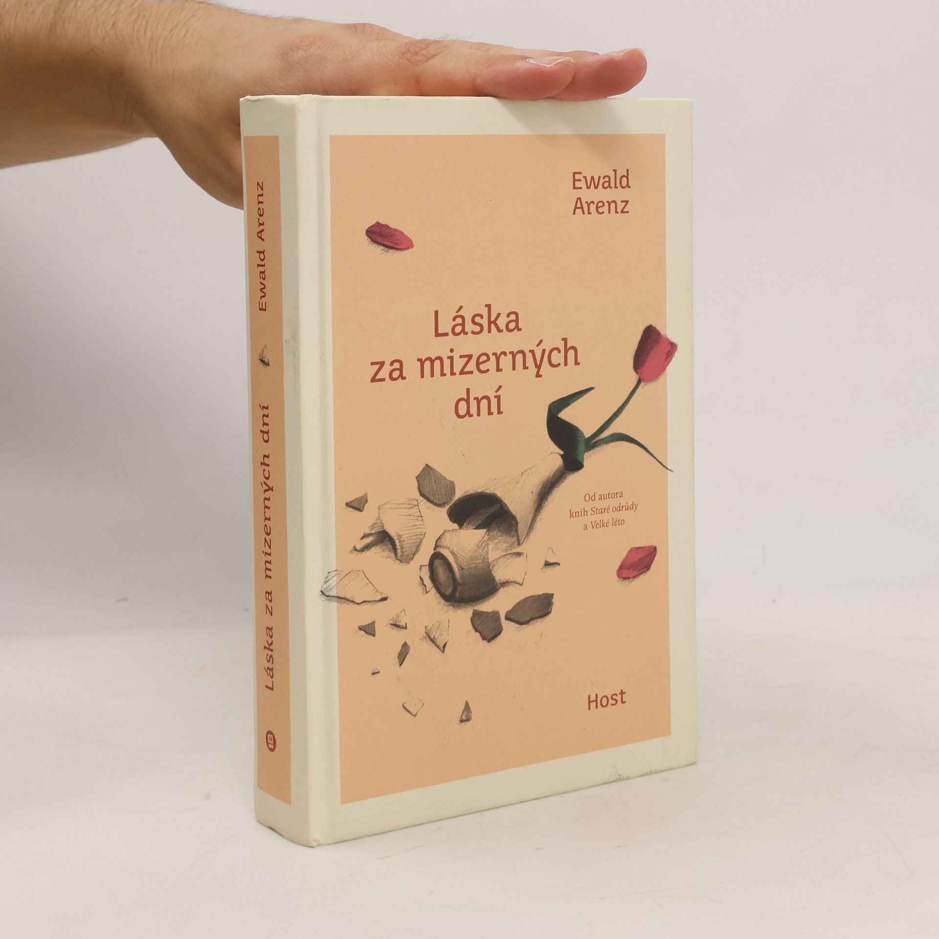 Ewald Arenz Láska za mizerných dní
