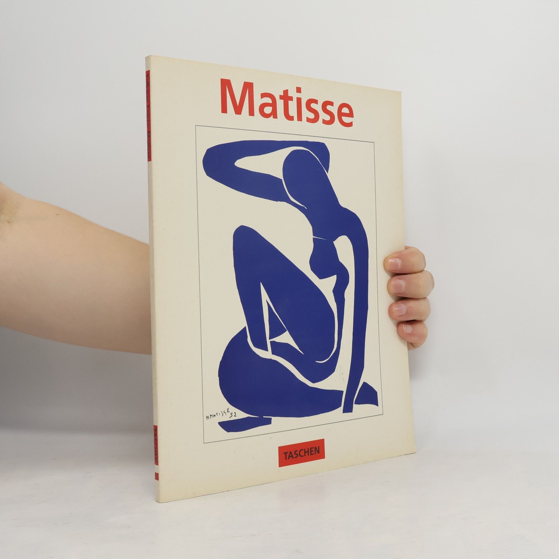 Henri Matisse Meister der Farbe