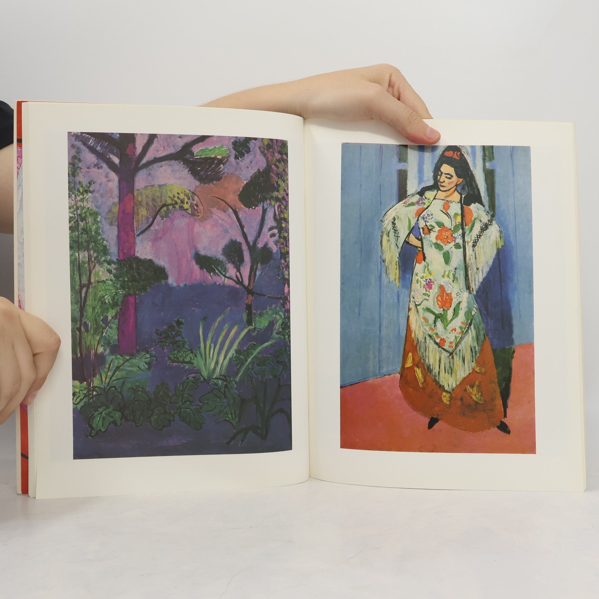 Henri Matisse Meister der Farbe