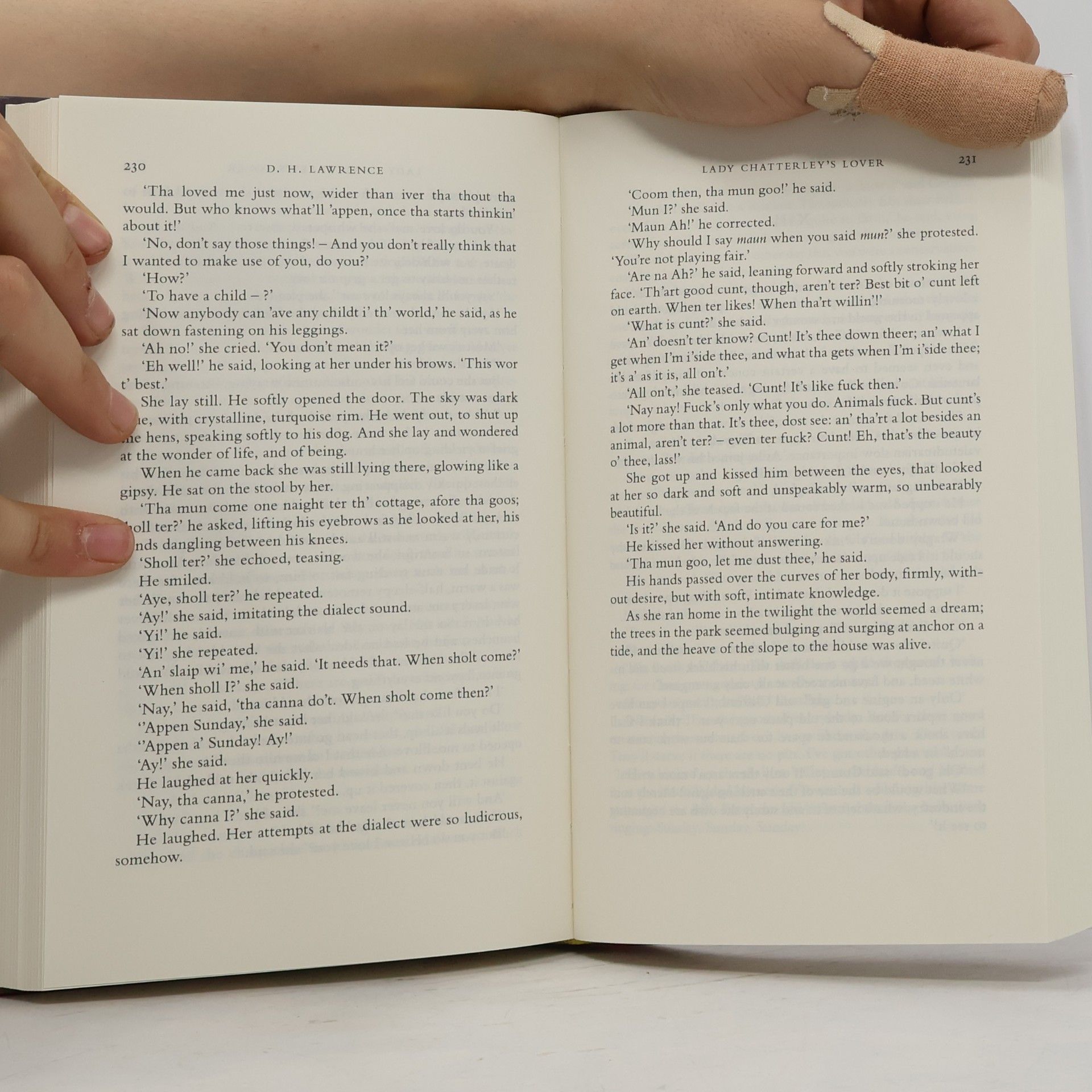 D. H. Lawrence Lady Chatterley´s Lover